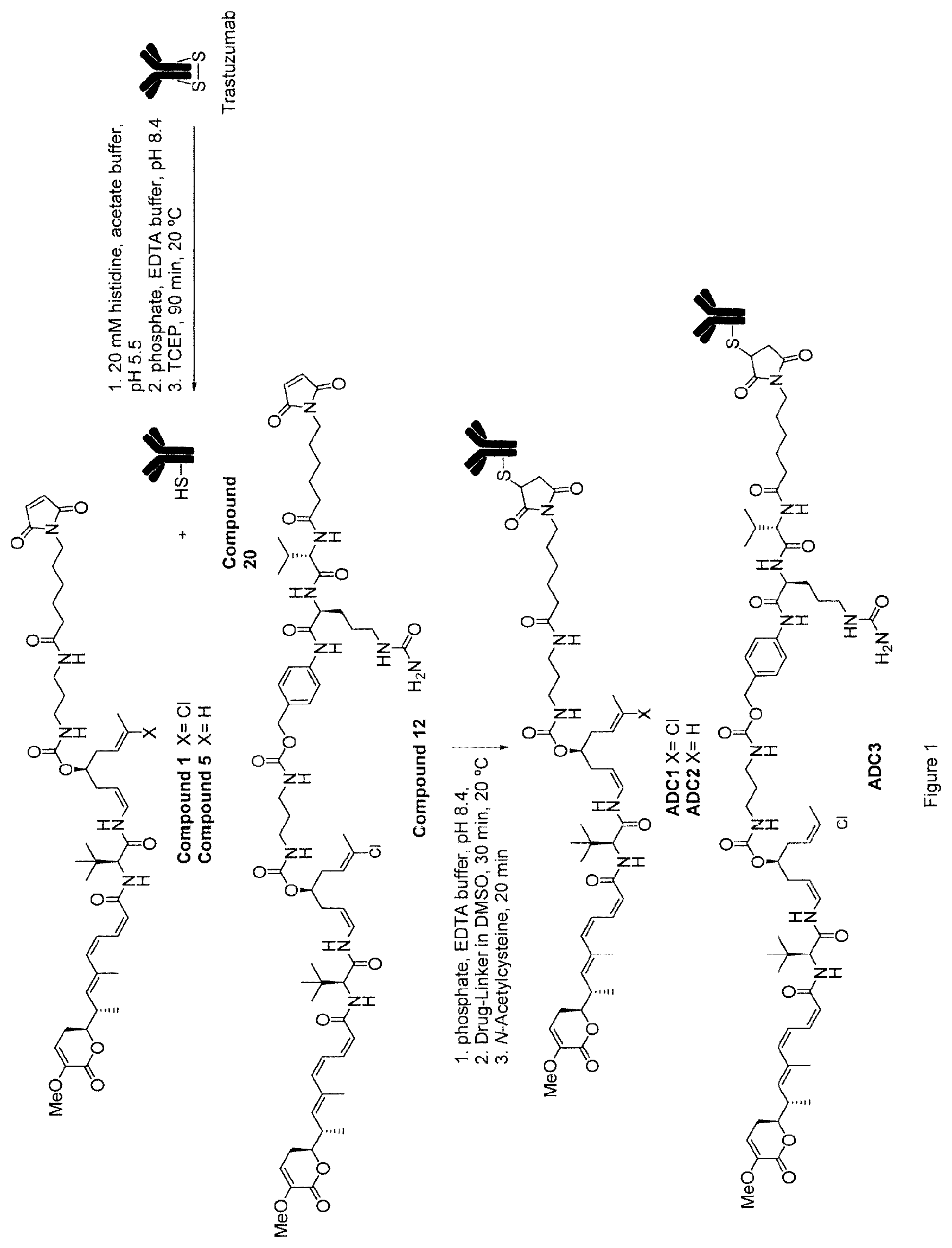 Patent US12410148 Figure 1 – Antibody drug conjugates