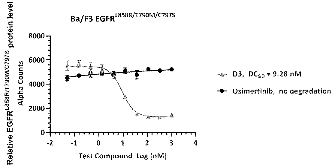 Patent US12410192 — Compound for inhibiting and inducing degradation of EGFR kinase — Figure 1