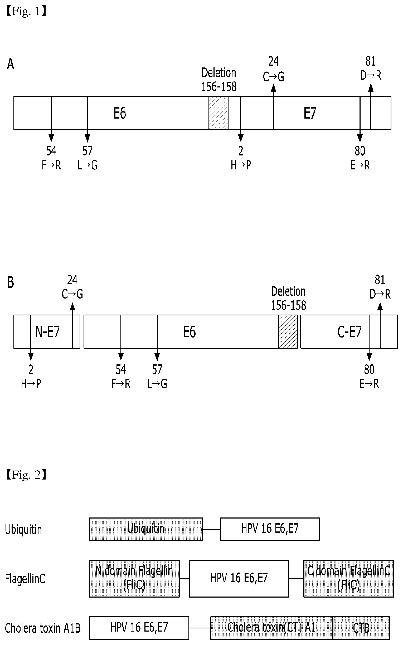 Patent US12410214 — Structurally modified chimeric polypeptide of human papillomavirus, recombinant protein comprising same polypeptide, and use of same protein — Figure 1