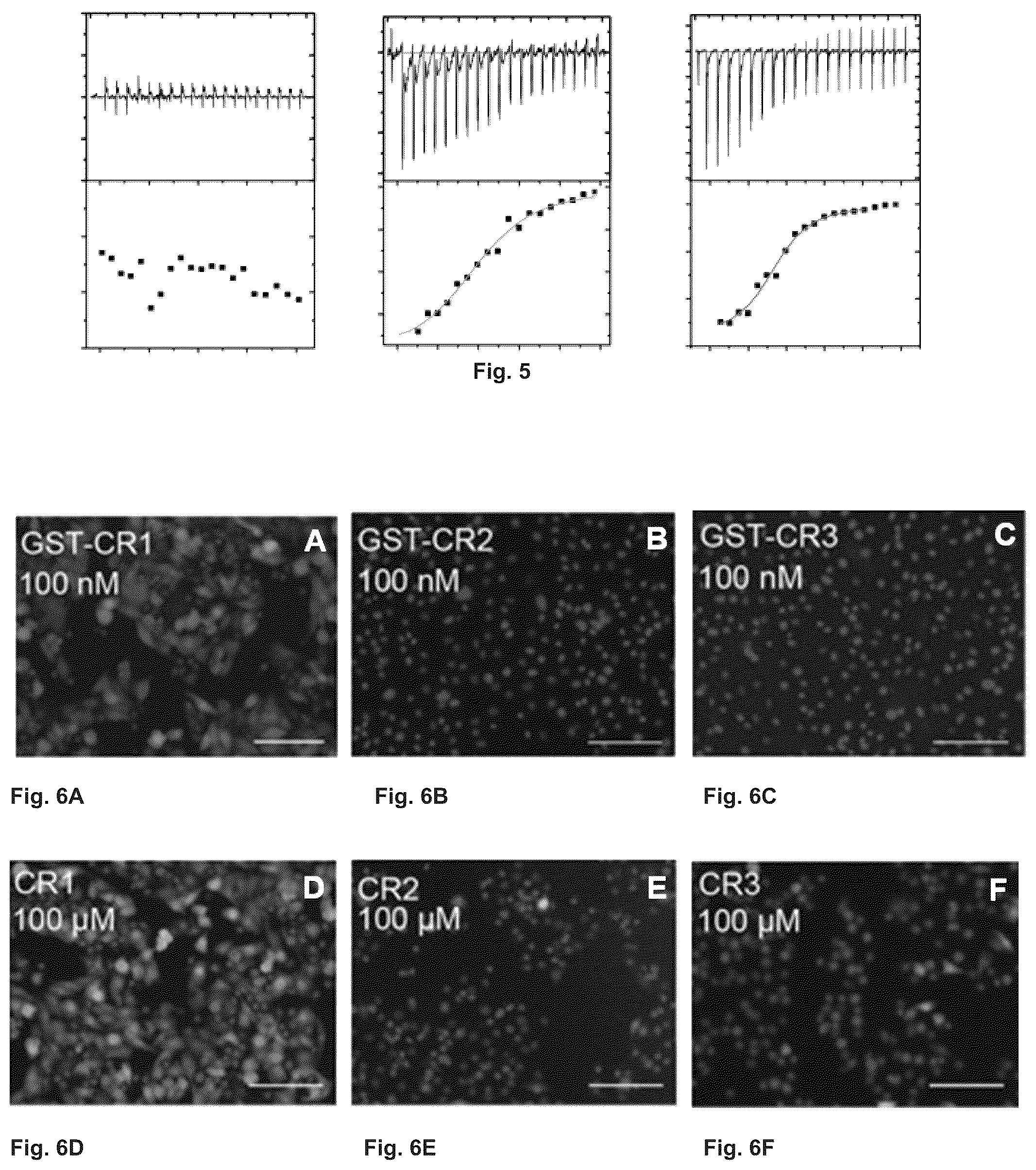 Patent US12410215 Figure 3 – Mutated glycoprotein of vesicular stomatitis virus