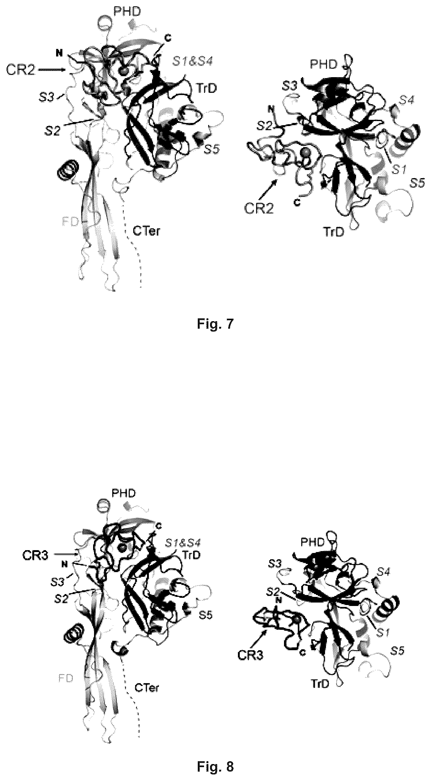 Patent US12410215 Figure 4 – Mutated glycoprotein of vesicular stomatitis virus