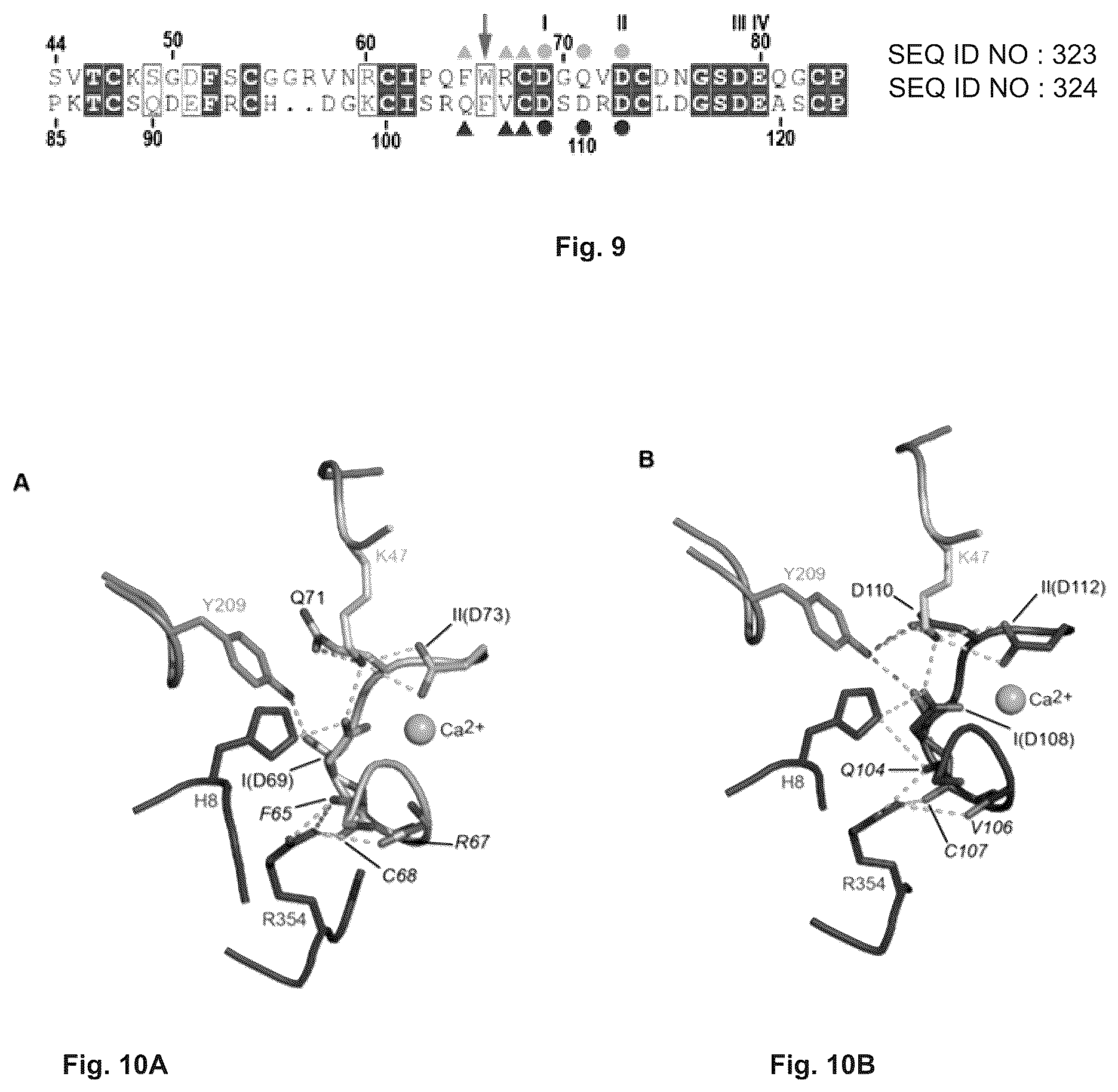 Patent US12410215 Figure 5 – Mutated glycoprotein of vesicular stomatitis virus