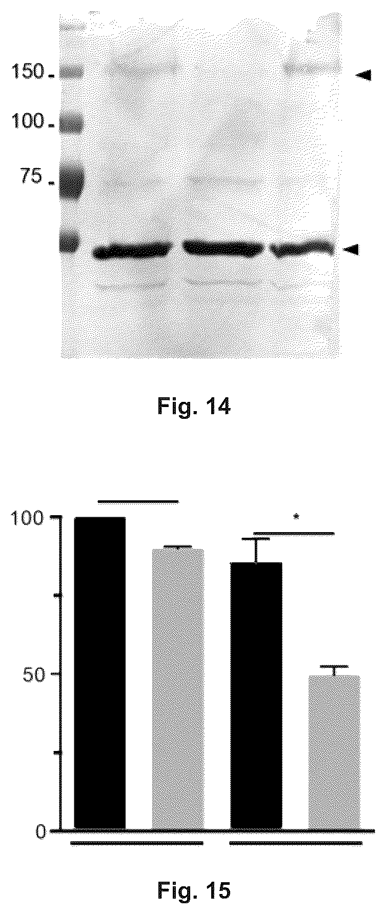 Patent US12410215 Figure 9 – Mutated glycoprotein of vesicular stomatitis virus