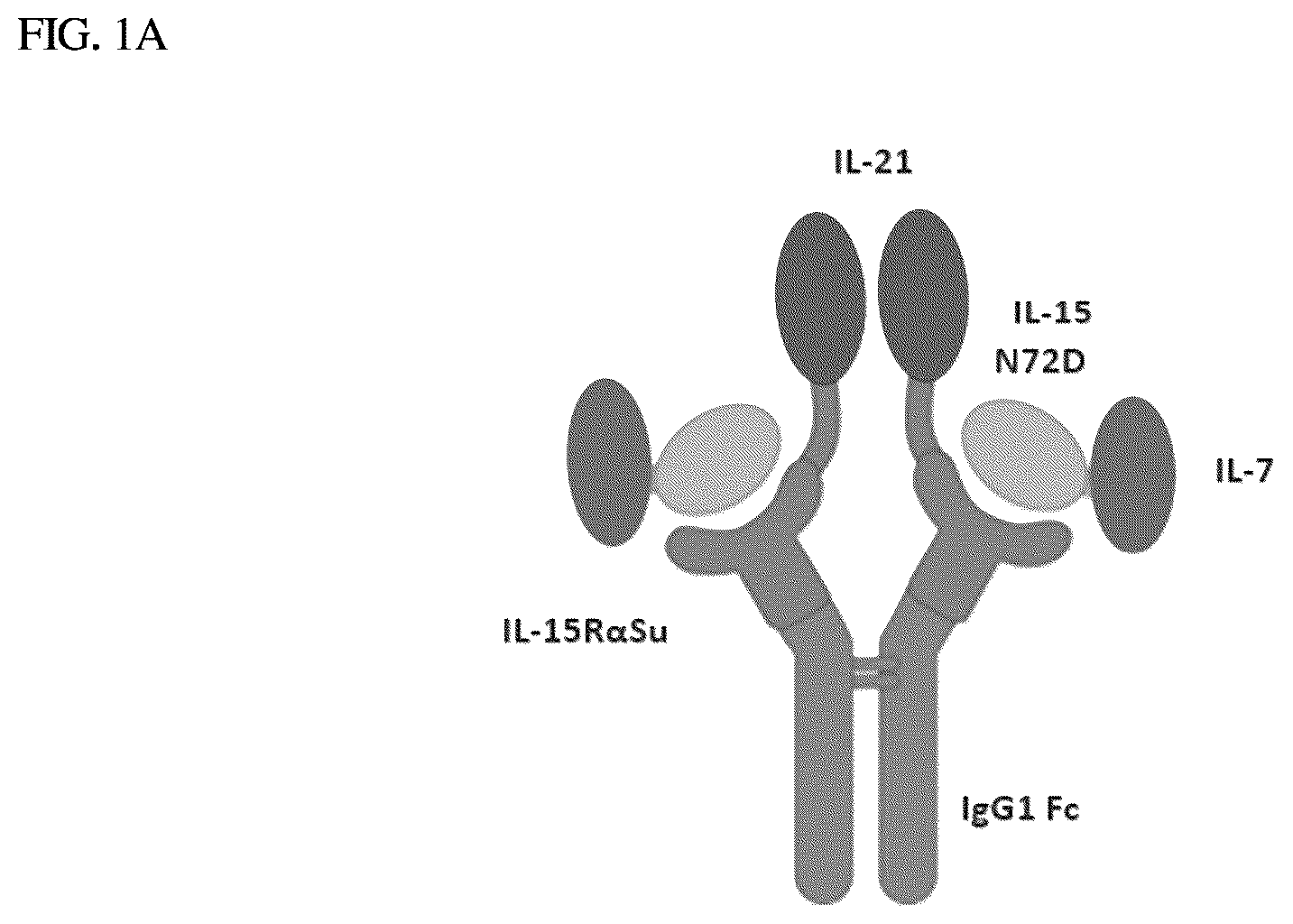 Patent US12410224 — IL-15-based fusions to IL-7 and IL-21 — Figure 1