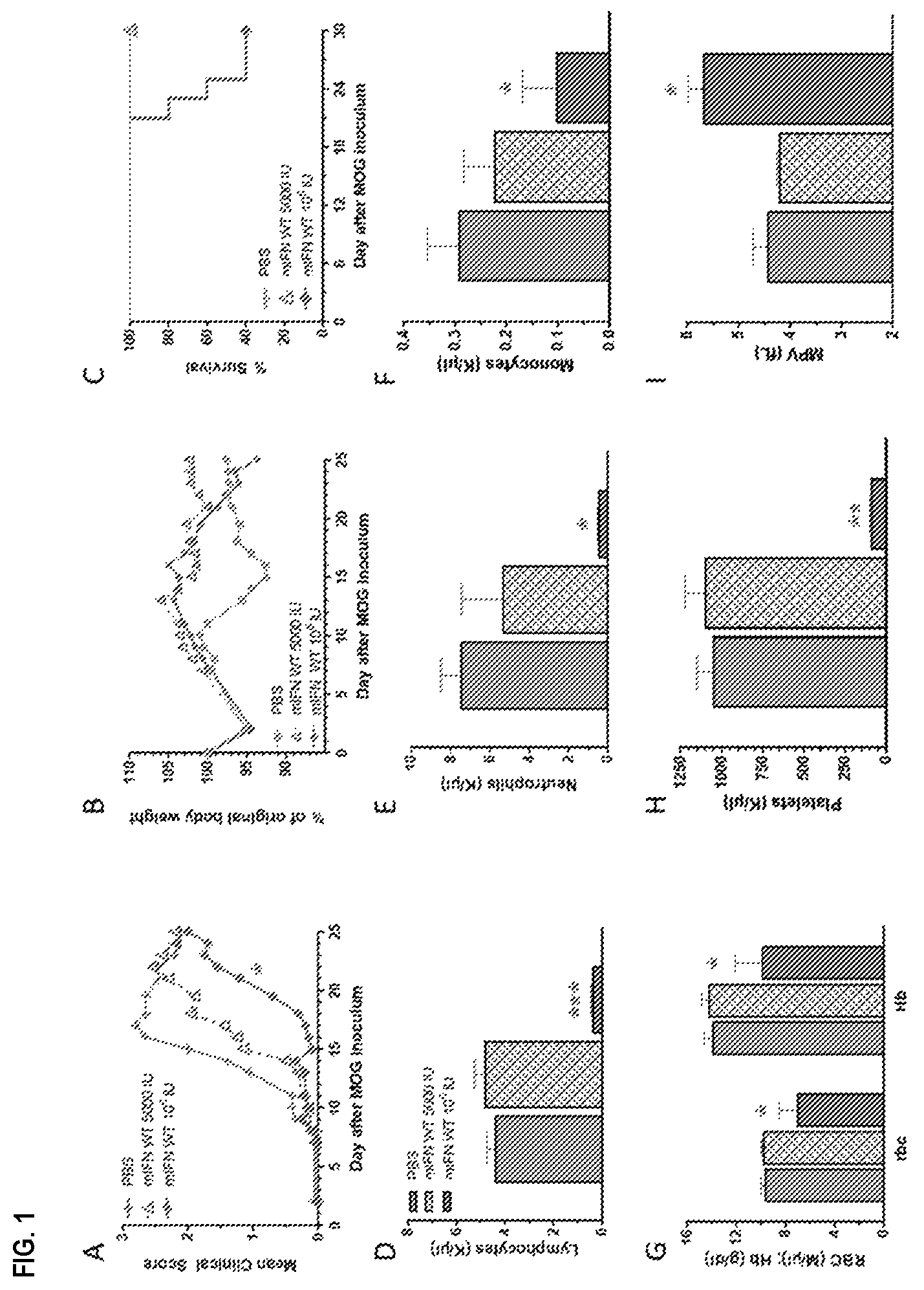Patent US12410225 — Modulation of dendritic cell lineages — Figure 1