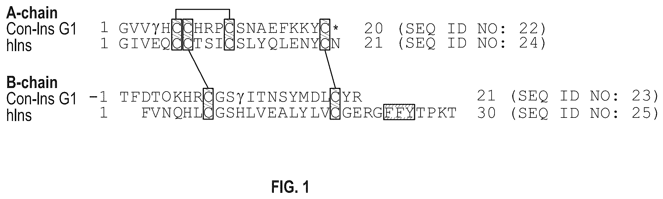 Patent US12410228 — Insulin analogs — Figure 1
