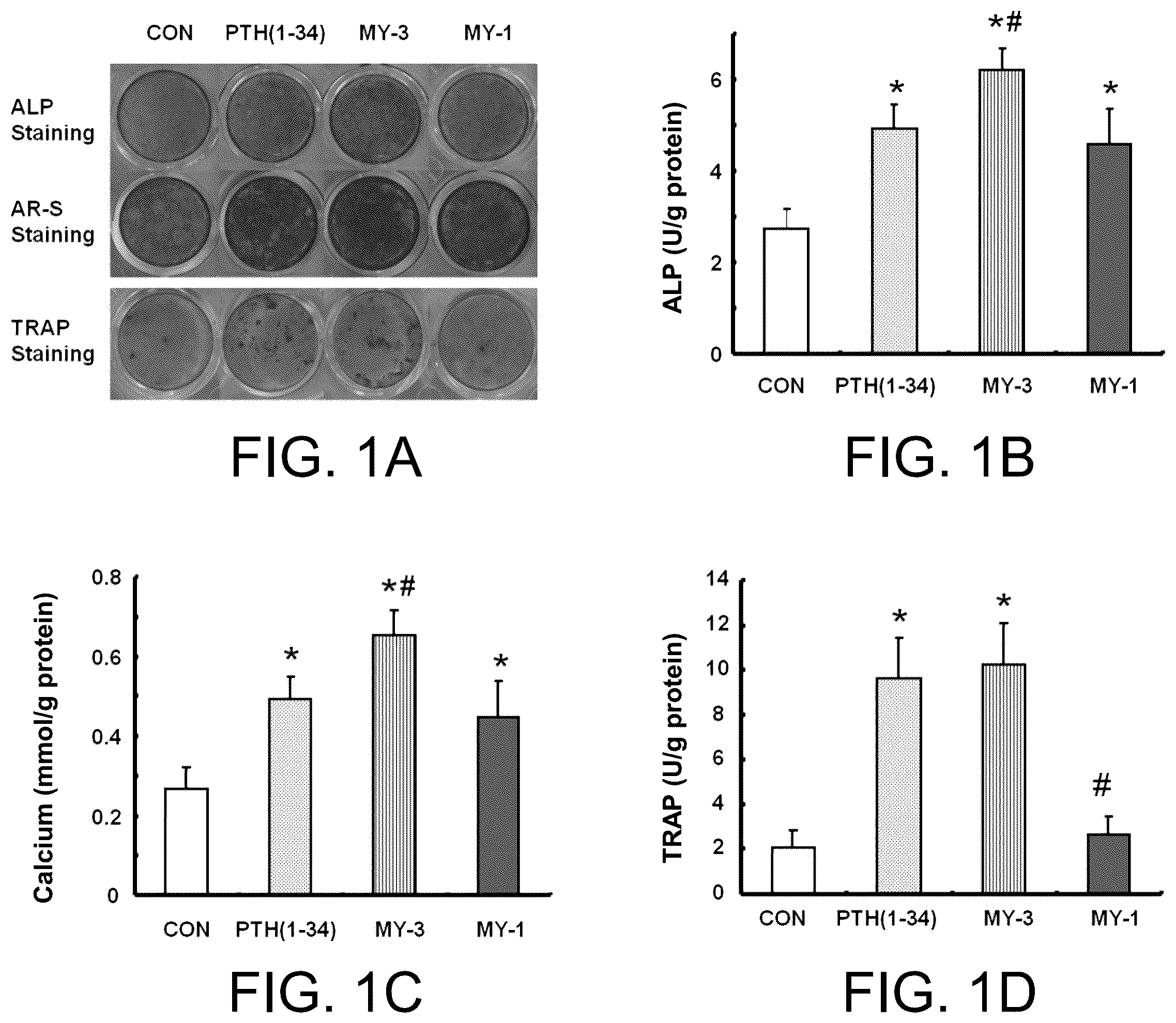 Patent US12410229 — PTH mimetic peptide based on protein domain reconstruction and application thereof — Figure 1
