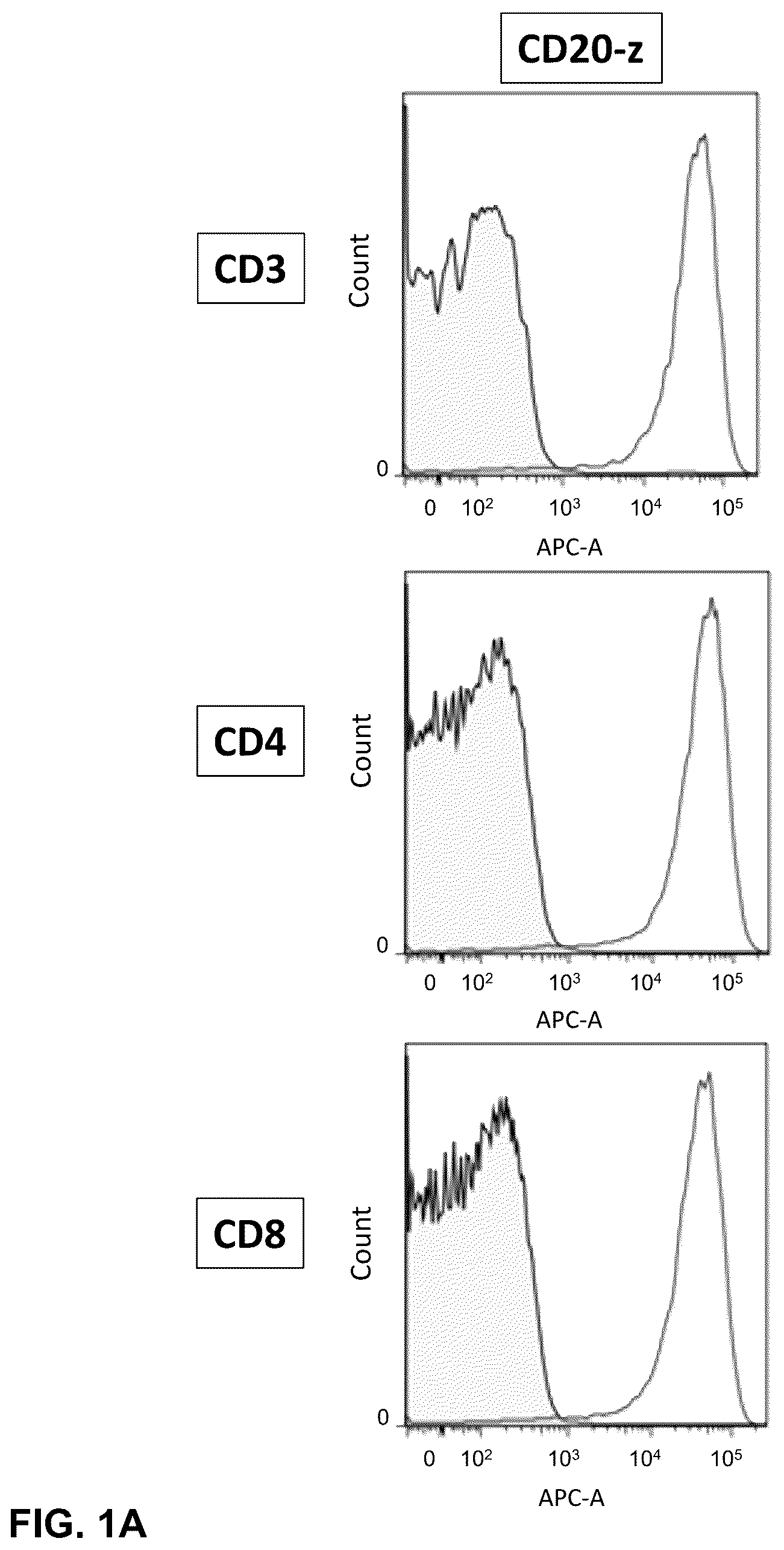 Patent US12410232 — Treatment of a canine CD20 positive disease or condition using a canine CD20-specific chimeric antigen receptor — Figure 1