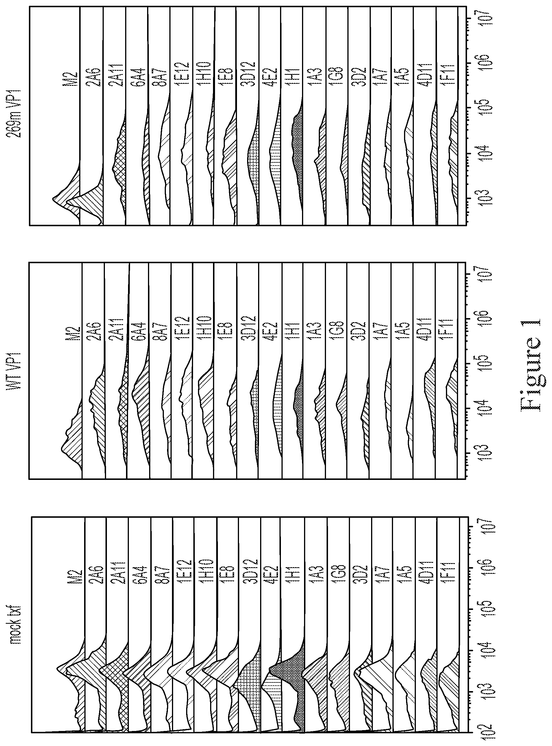 Patent US12410238 — Monoclonal antibodies against JC virus — Figure 1