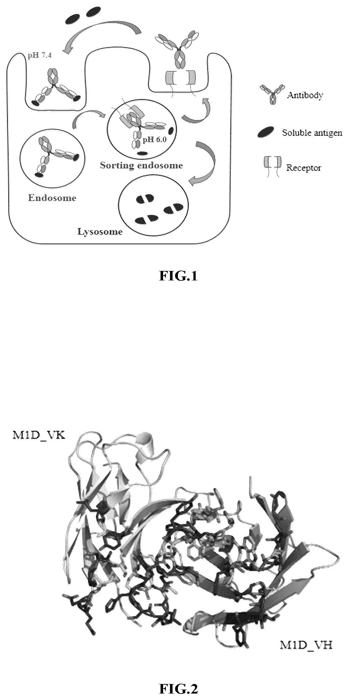 Patent US12410239 — Anti-hepatitis B virus antibody and uses thereof — Figure 1