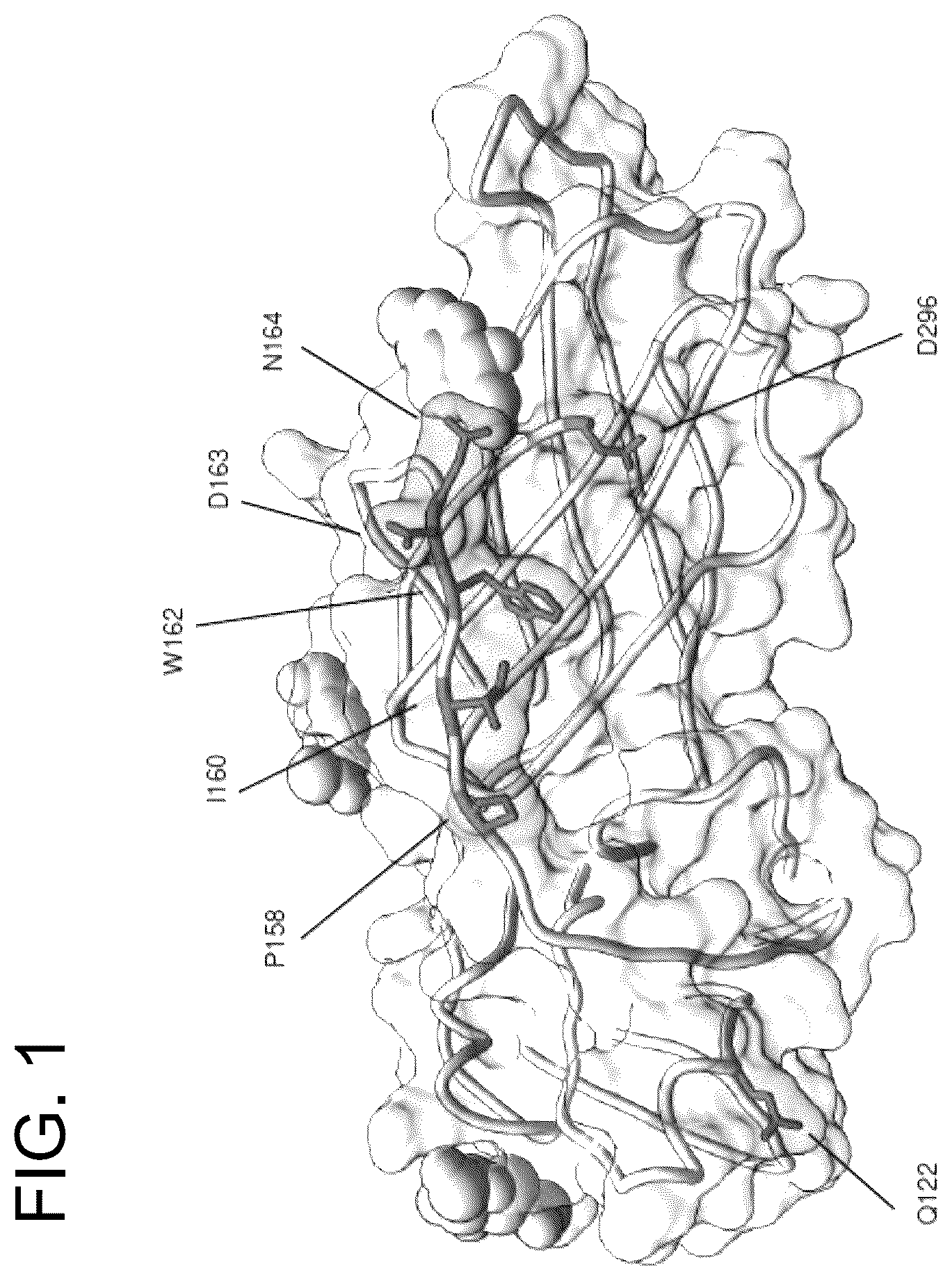 Patent US12410240 Figure 1 – Antibodies and methods for the diagnosis and treatment of Epstein Barr virus infection