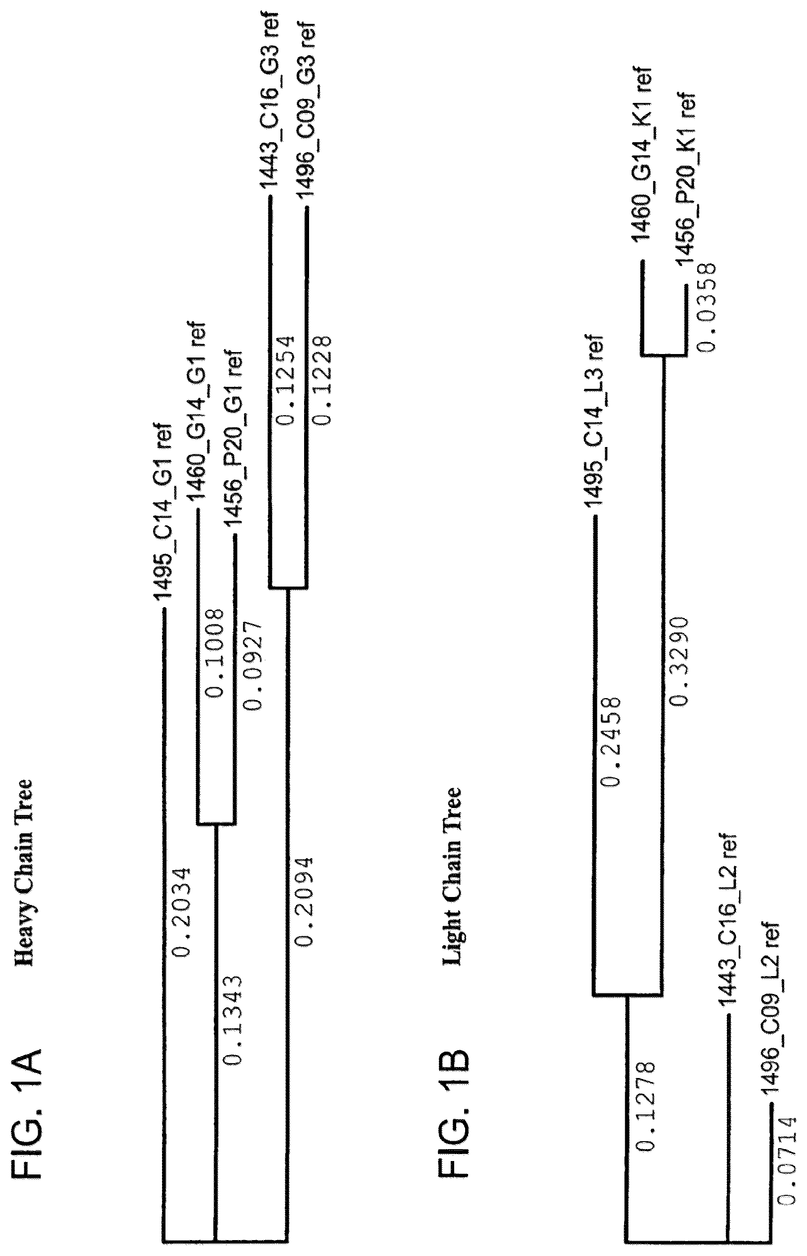 Patent US12410243 — Methods of treating HIV-1 infection utilizing broadly neutralizing human immunodeficiency virus type 1 (HIV-1) GP120-specific monoclonal antibodies — Figure 1