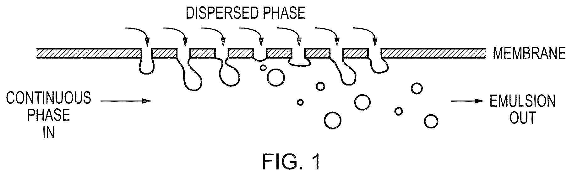 Patent US12410285 — Biopolymer particle preparation — Figure 1