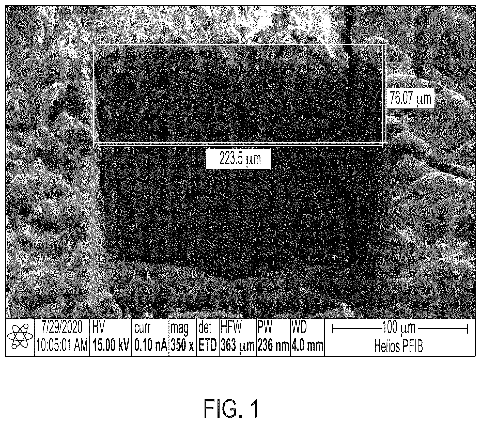 Patent US12410292 — Method of making carbonized composites — Figure 1