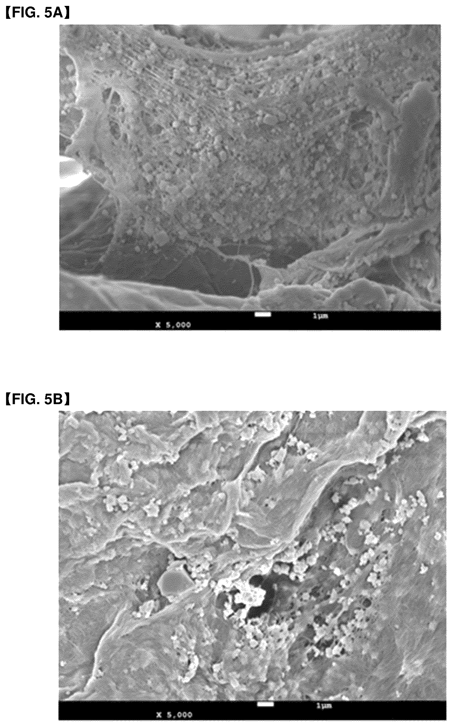 Patent US12410309 Figure 4 – Polymer complex