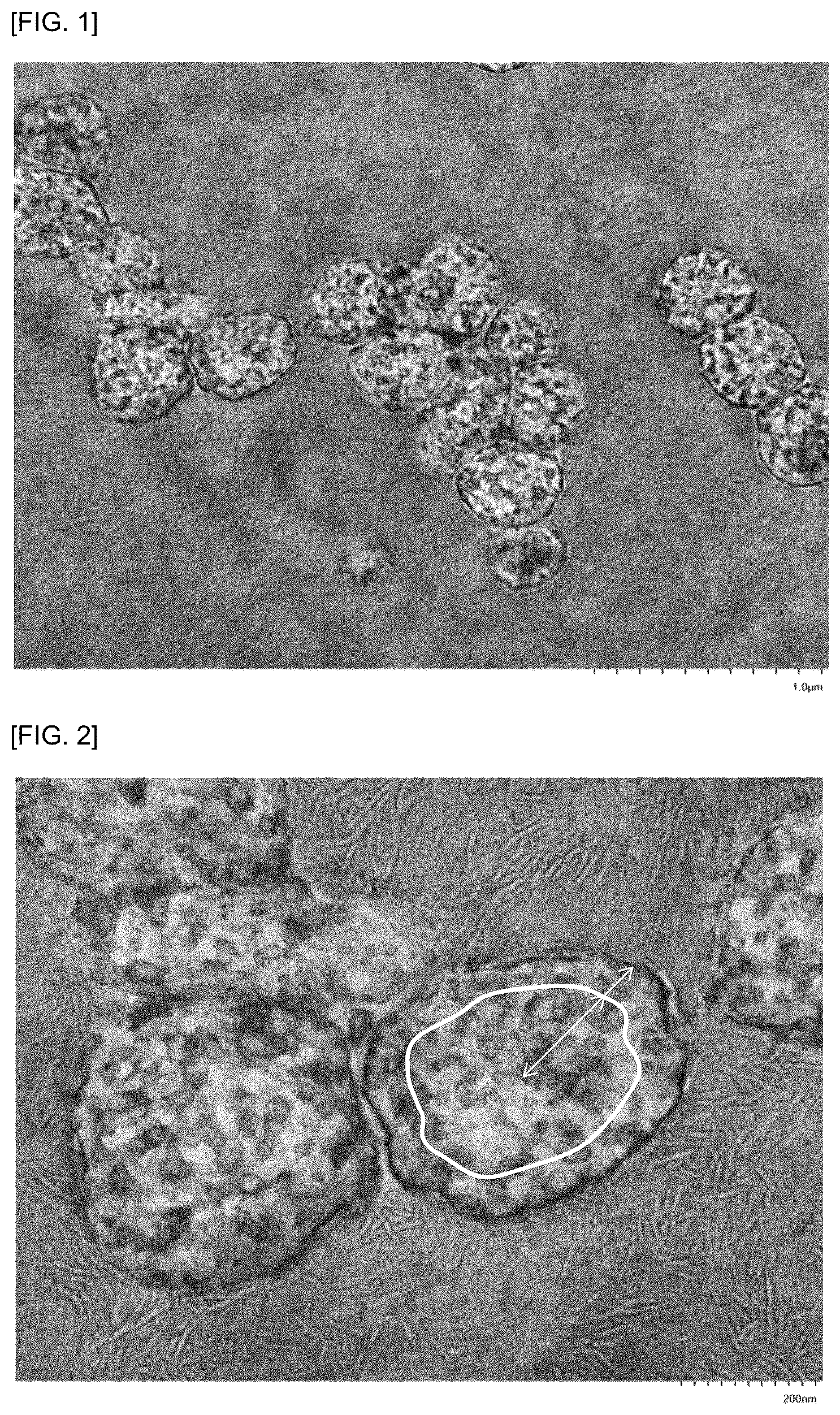 Patent US12410311 — Resin composition and multilayered structure using same — Figure 1