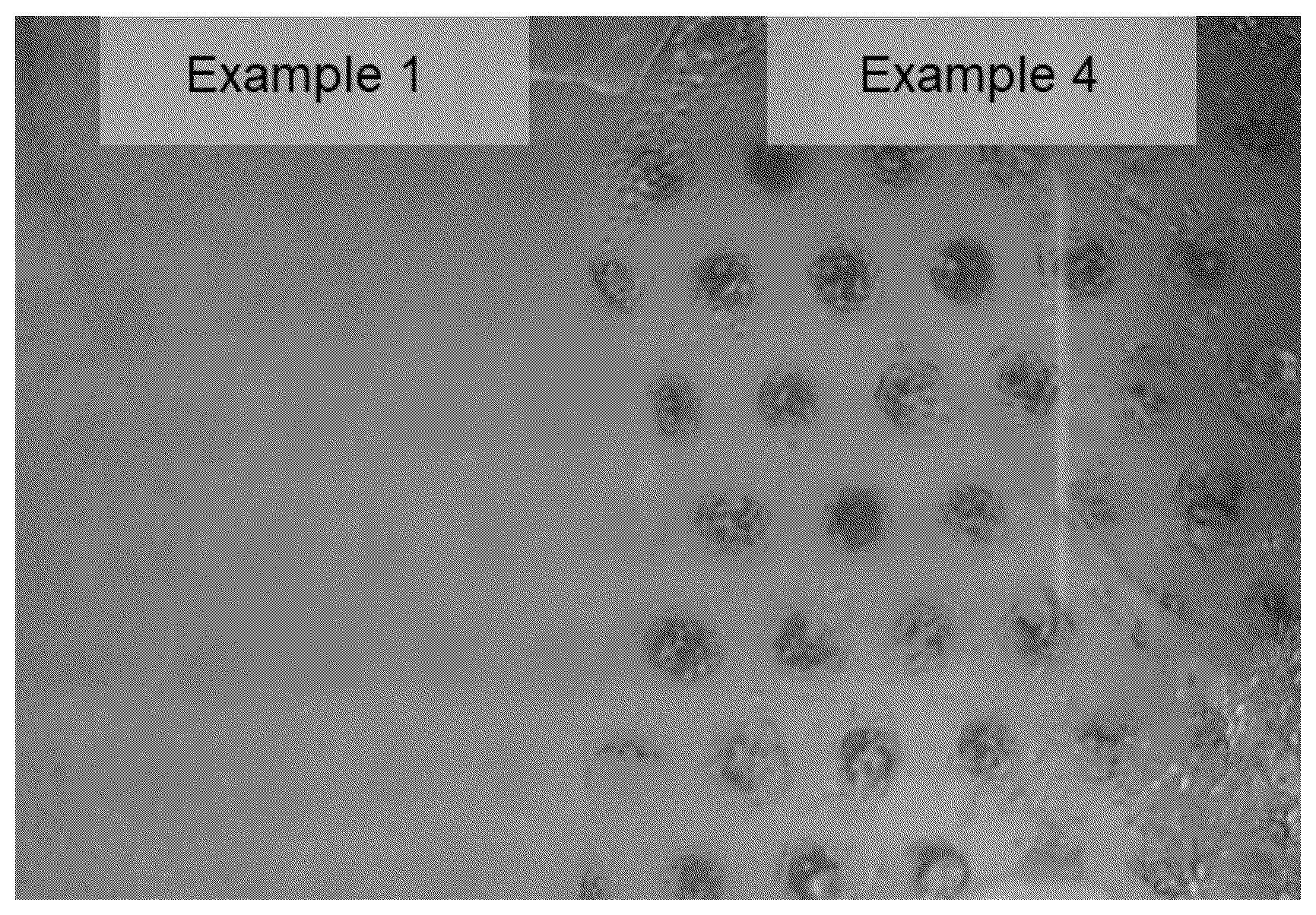 Patent US12410322 — Antibacterial polymer composition — Figure 1