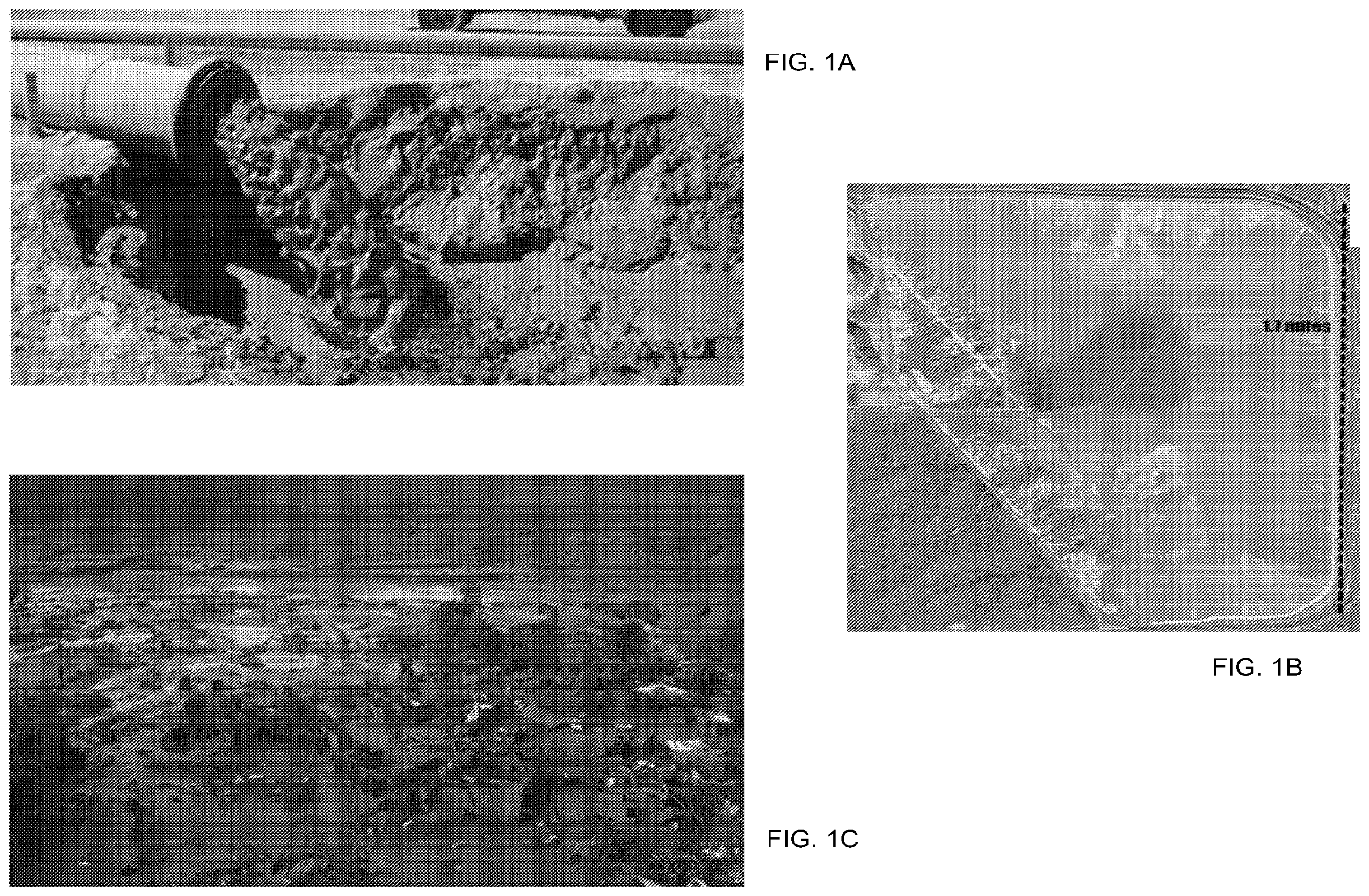 Patent US12410350 — Systems and methods for dust control using a liquid polymer — Figure 1