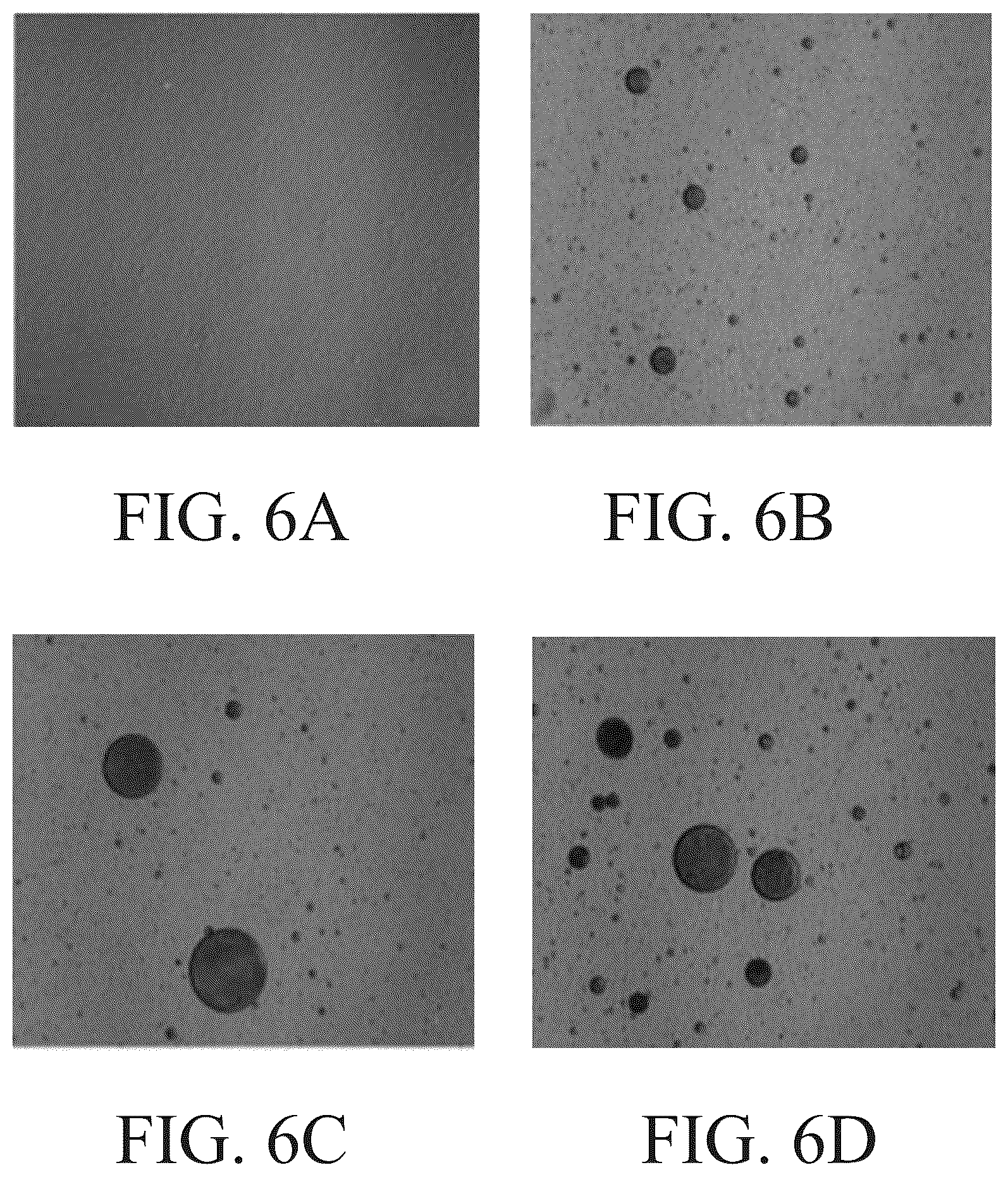 Patent US12410383 Figure 6 – Process of making a treatment composition that includes a plant rosin material and related premix compositions