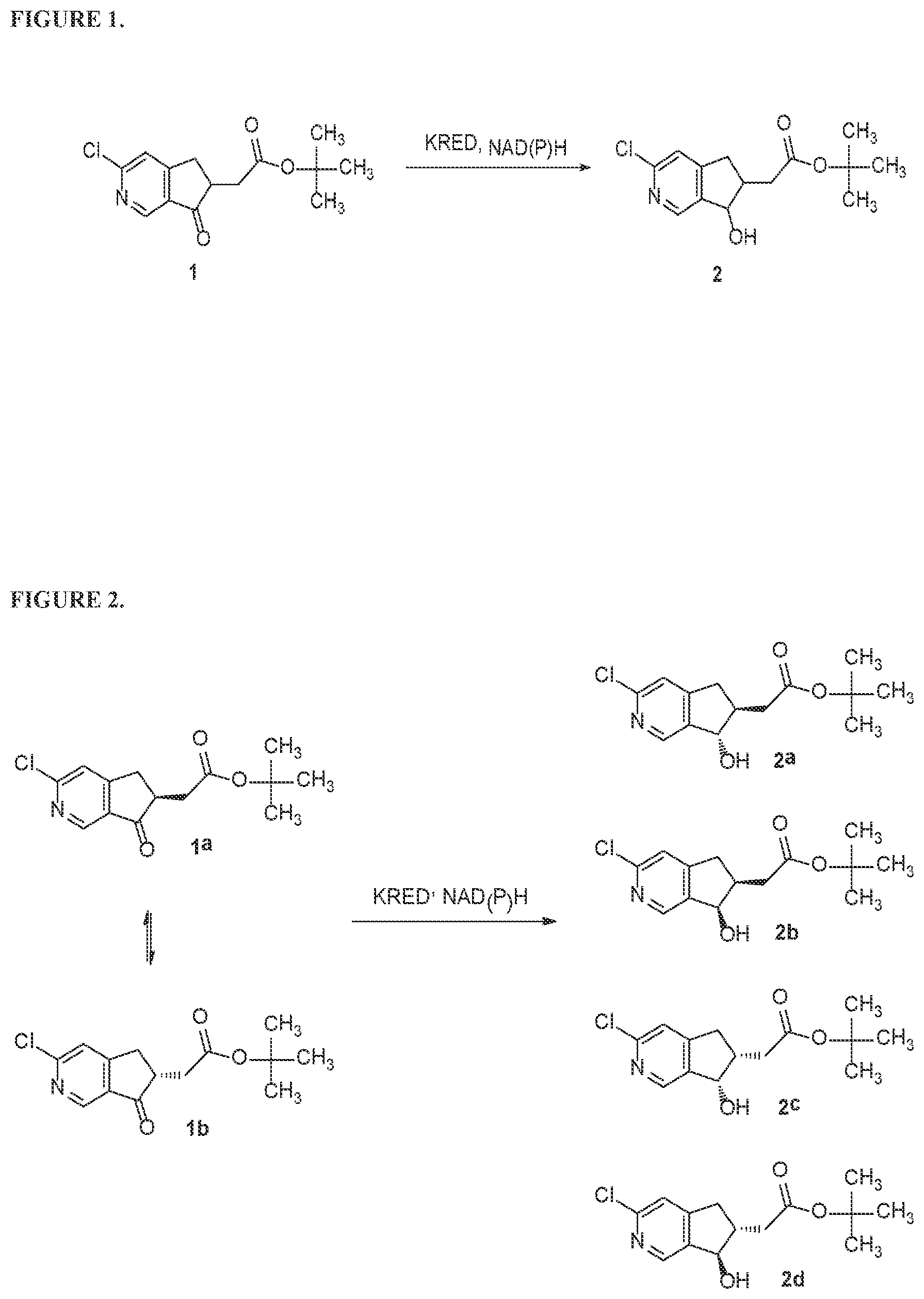 Patent US12410410 — Ketoreductase polypeptides for the synthesis of chiral compounds — Figure 1