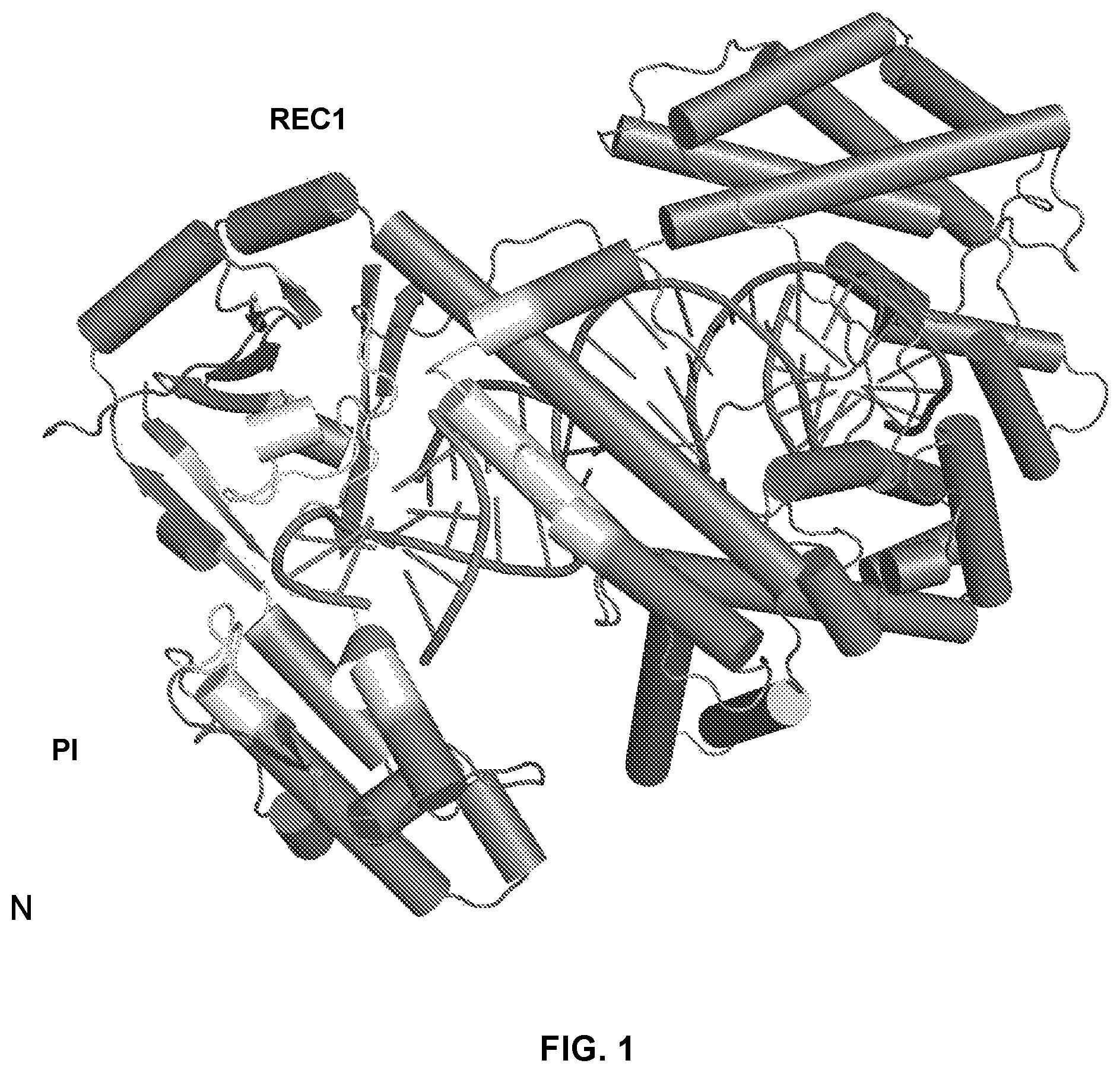 Patent US12410416 — CRISPR enzymes and systems with modified pam specificity — Figure 1