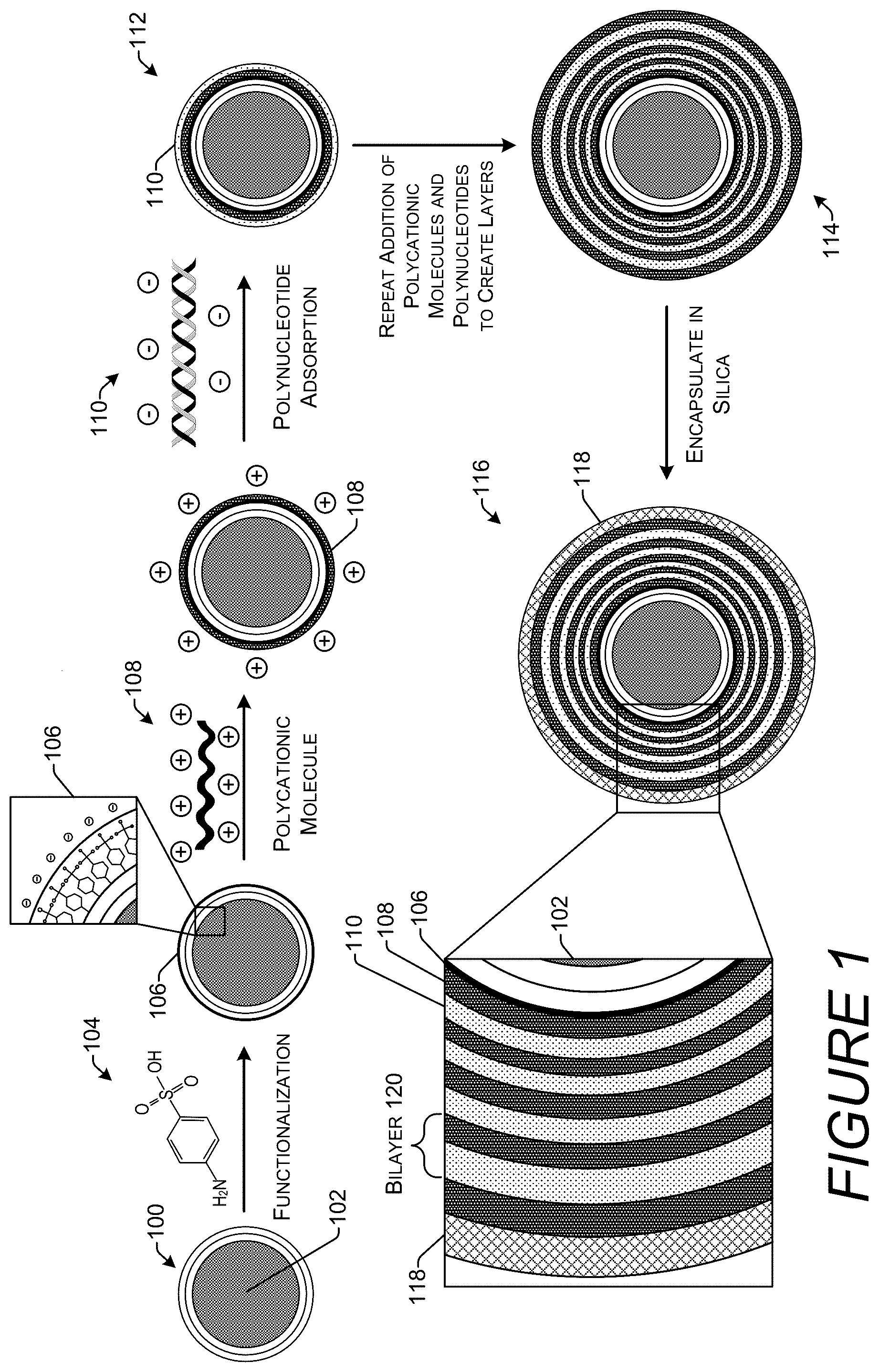 Patent US12410423 — Silica encapsulated DNA on magnetic nanoparticles — Figure 1