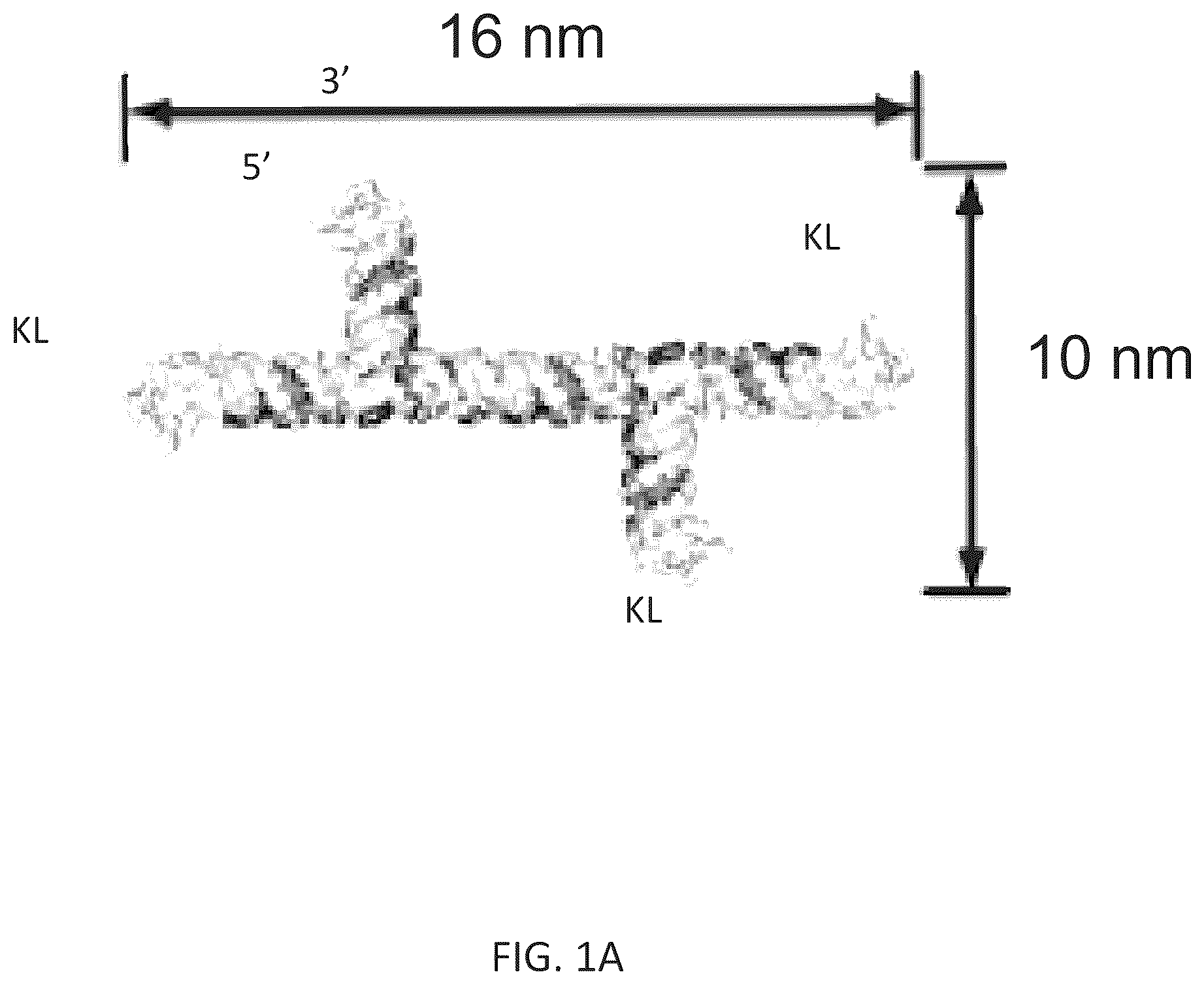 Patent US12410433 — Building designer RNA nano-structures for synthetic biology applications — Figure 1
