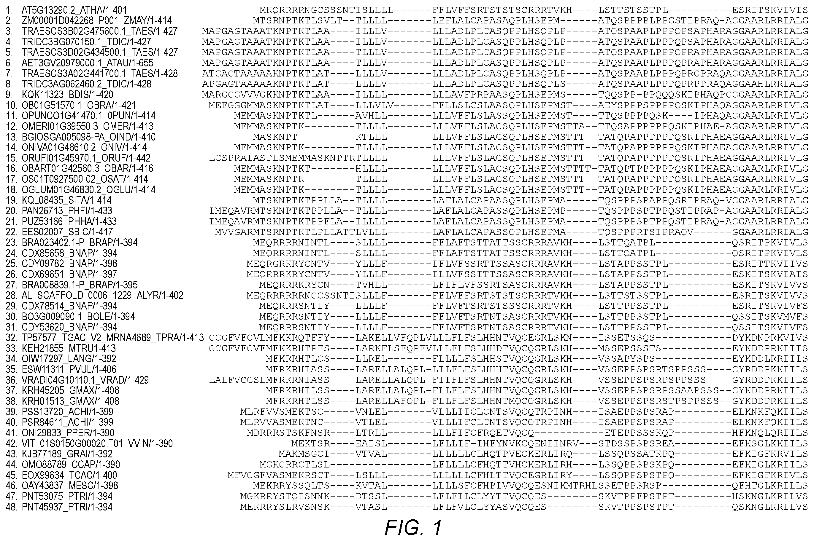 Patent US12410438 — Methods for controlling meristem size for crop improvement — Figure 1