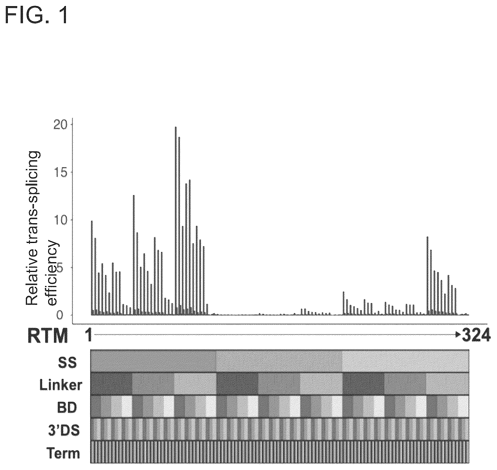 Patent US12410440 — ABCA4 trans-splicing molecules — Figure 1