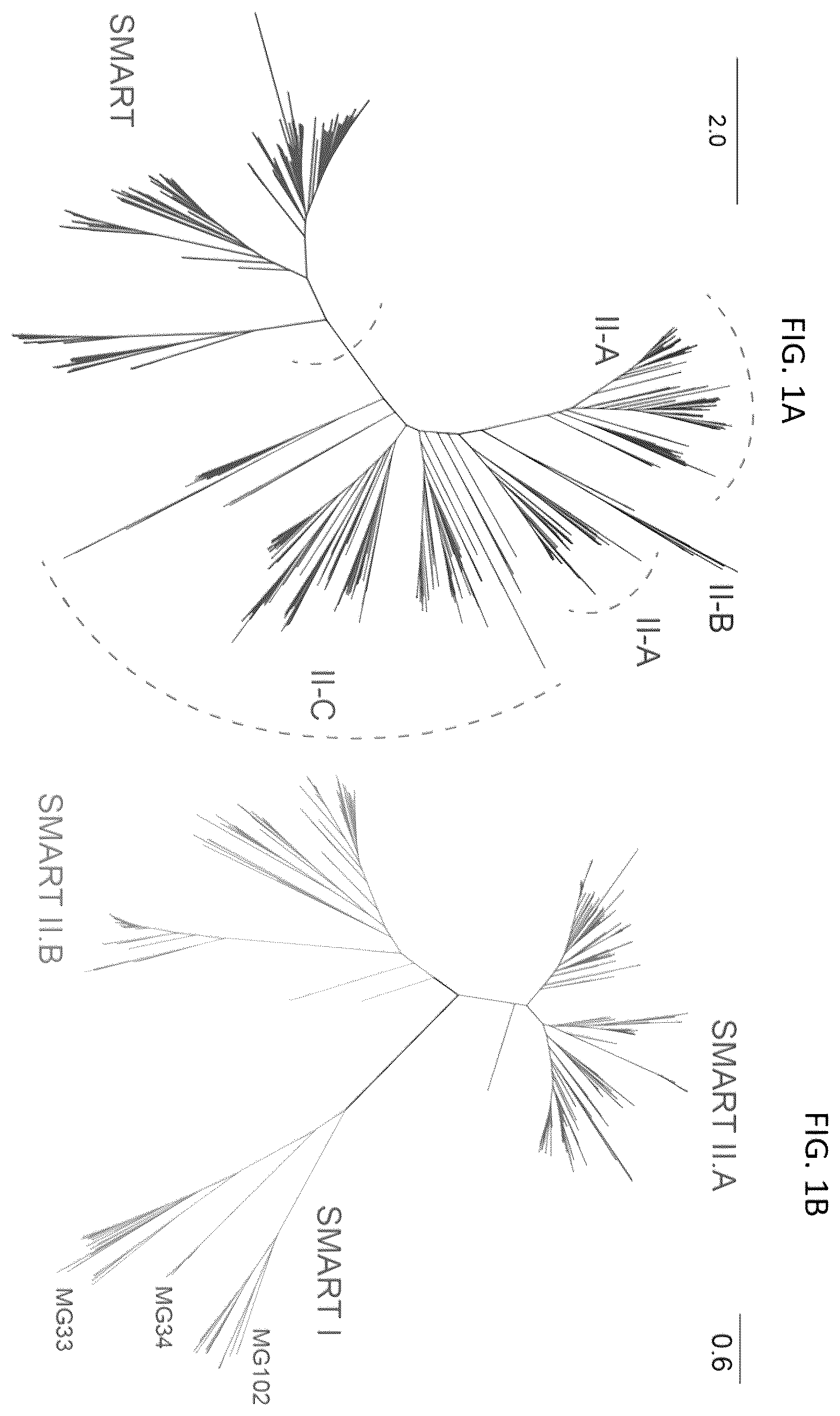 Patent US12410449 Figure 1 – Endonuclease systems