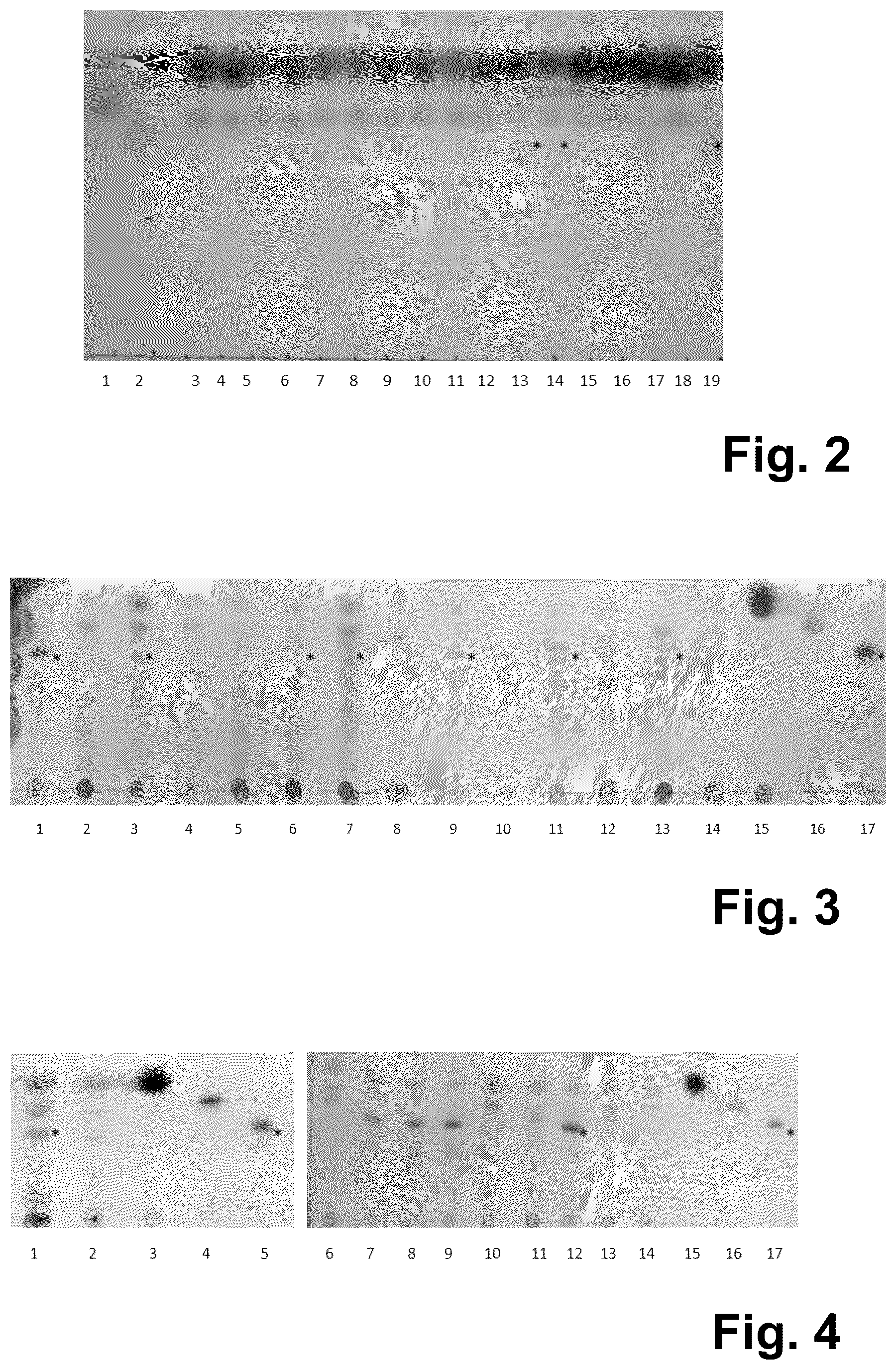 Patent US12410454 Figure 2 – Production of human milk oligosaccharides in microbial hosts with engineered import / export