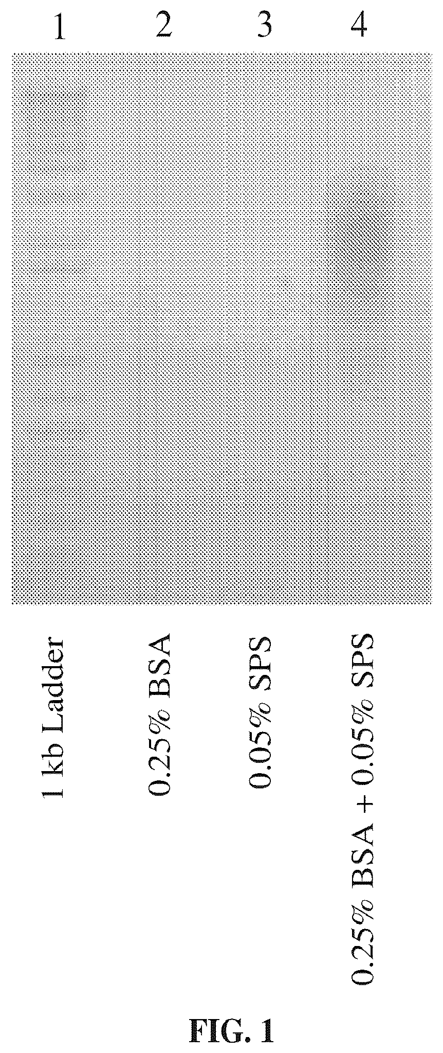 Patent US12410461 — Method of preparing clinical samples for nucleic acid amplification — Figure 1