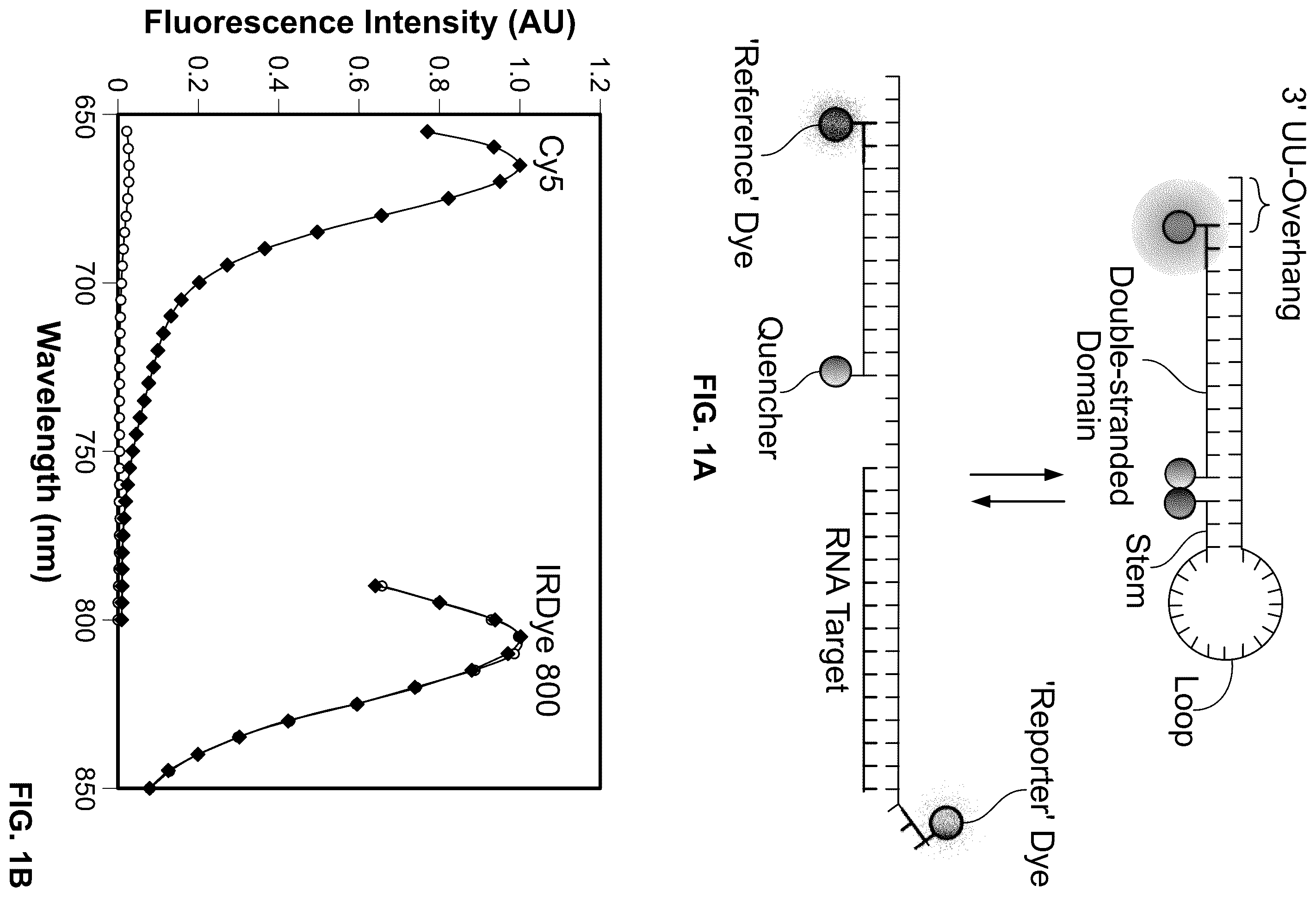 Patent US12410463 — Molecular beacons — Figure 1
