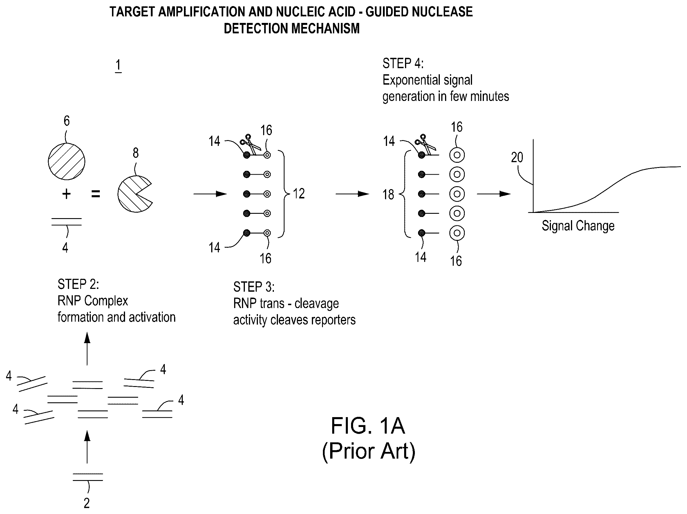 Patent US12410464 — Detection assays — Figure 1