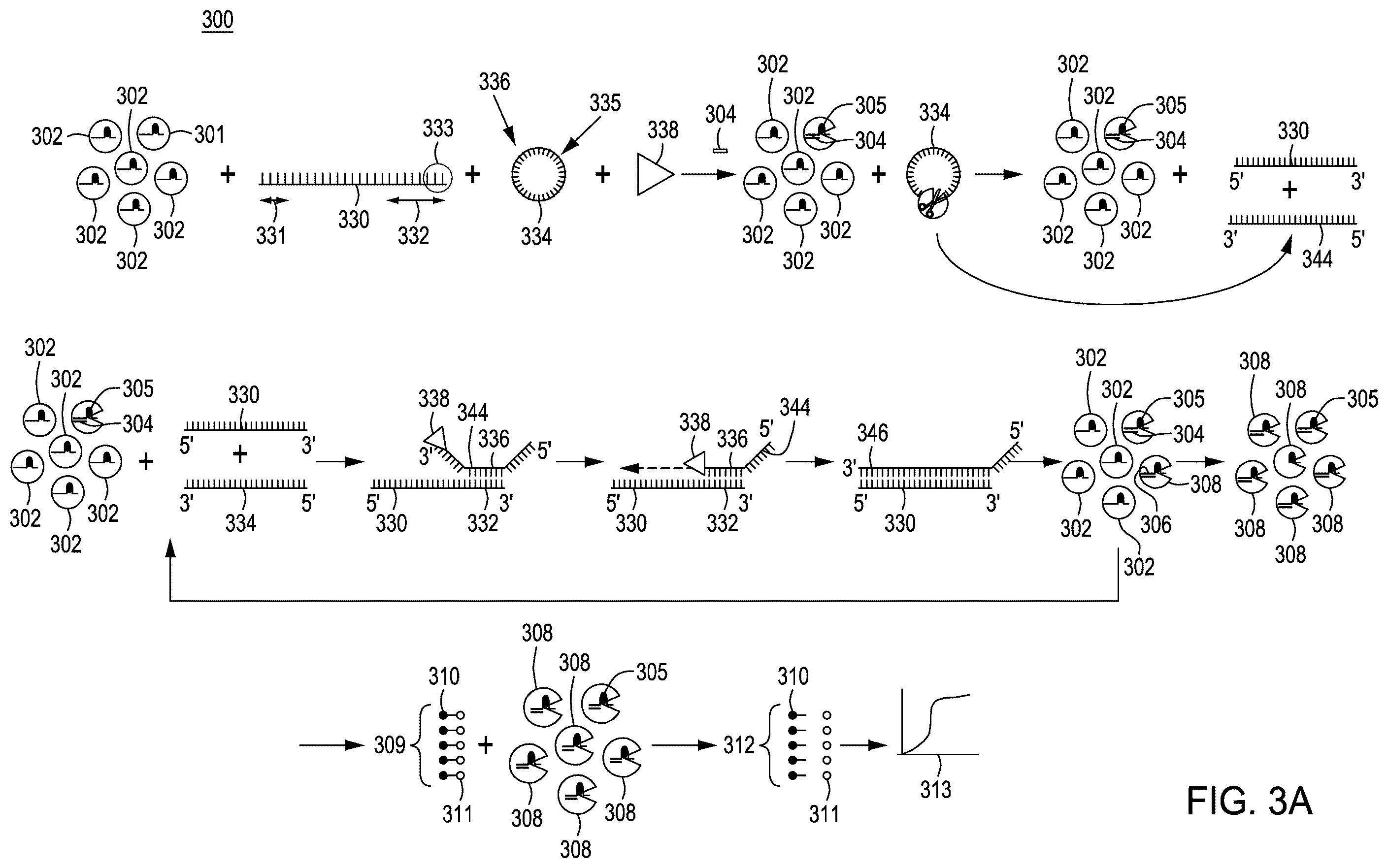 Patent US12410464 Figure 11 – Detection assays