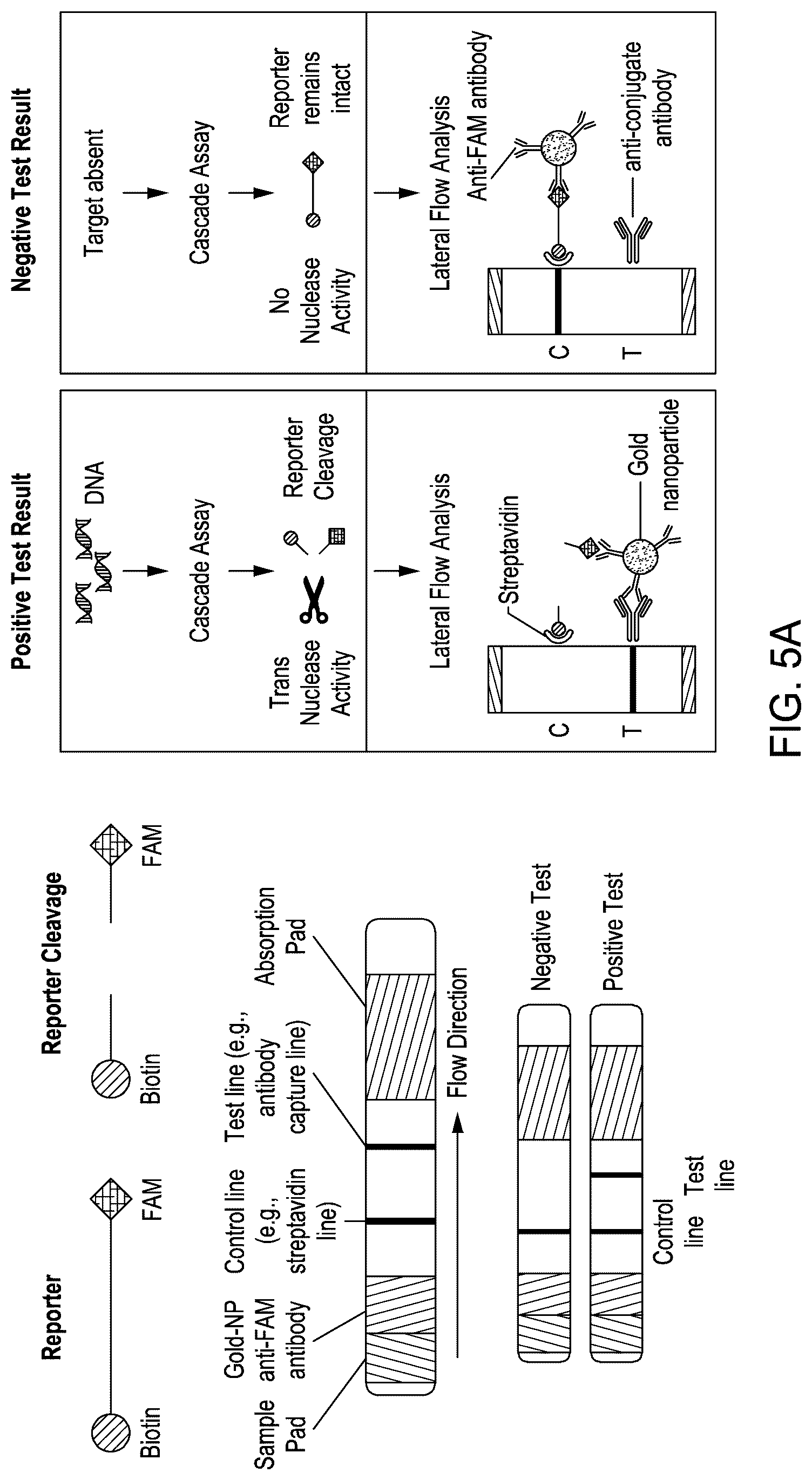Patent US12410464 Figure 14 – Detection assays