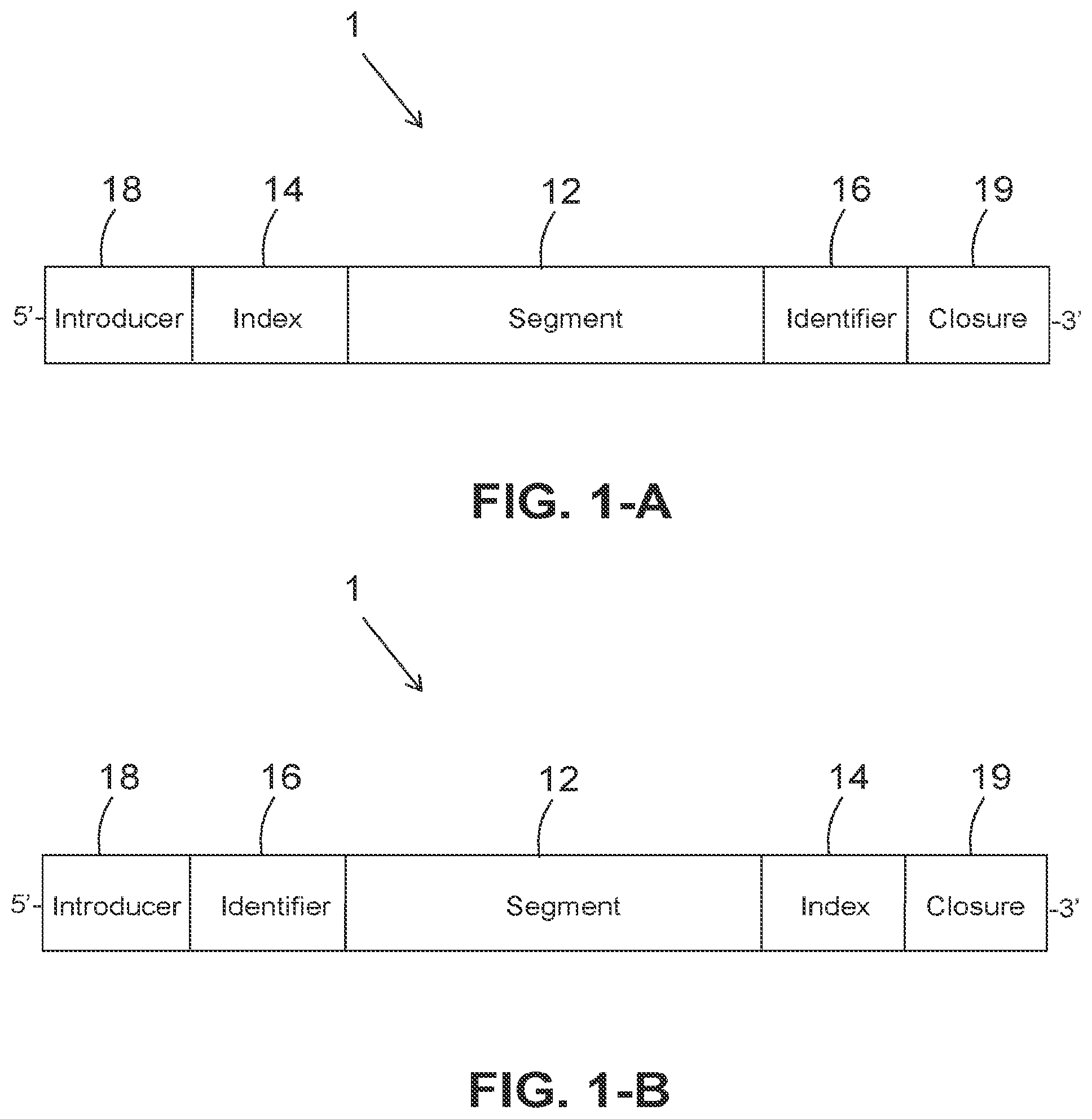 Patent US12410471 — DNA construct for sequencing and method for preparing the same — Figure 1