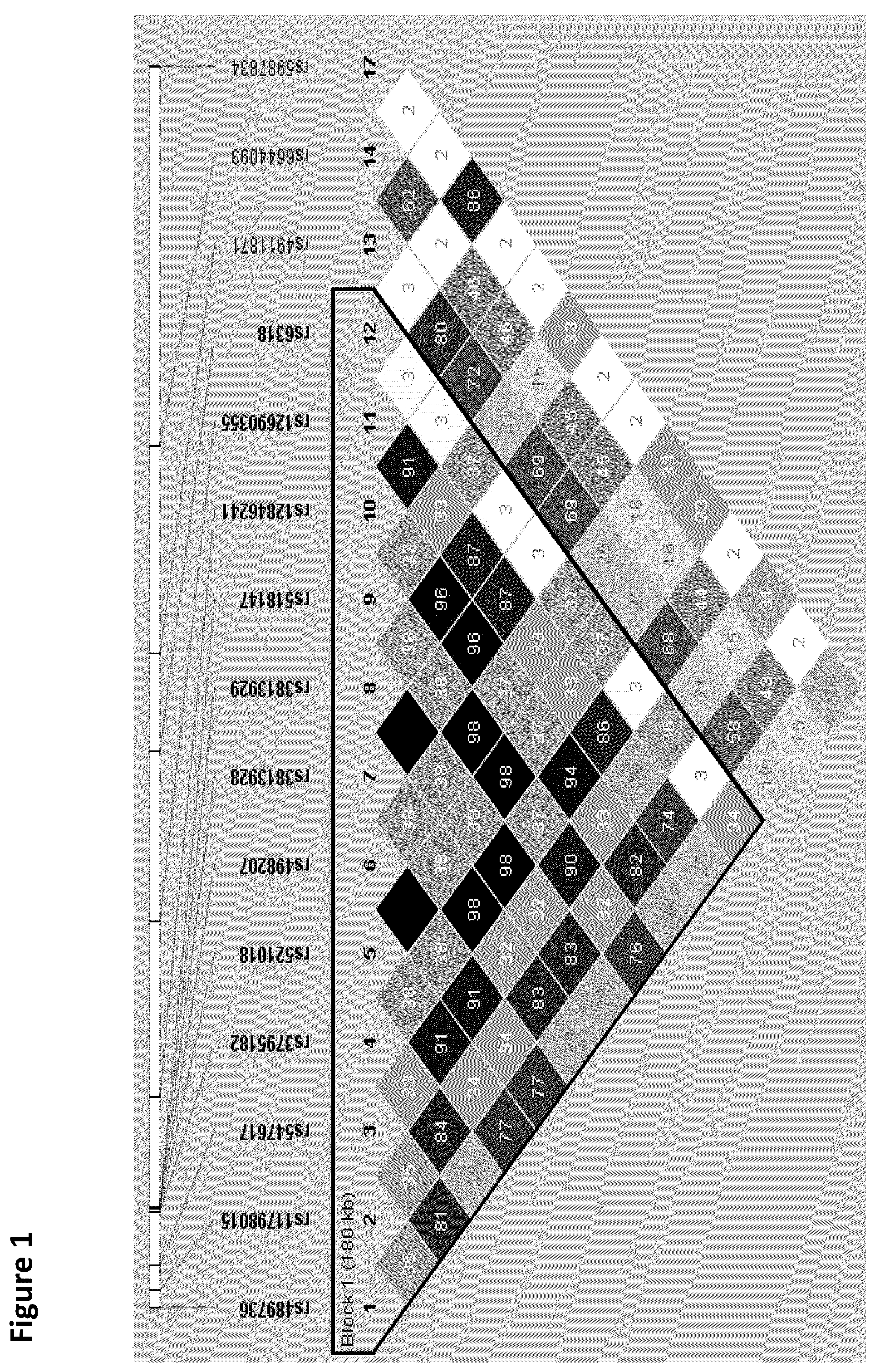 Patent US12410474 Figure 1 – Methods, kits, and devices for diagnosing, prognosing, and treating psychiatric disorders in a patient