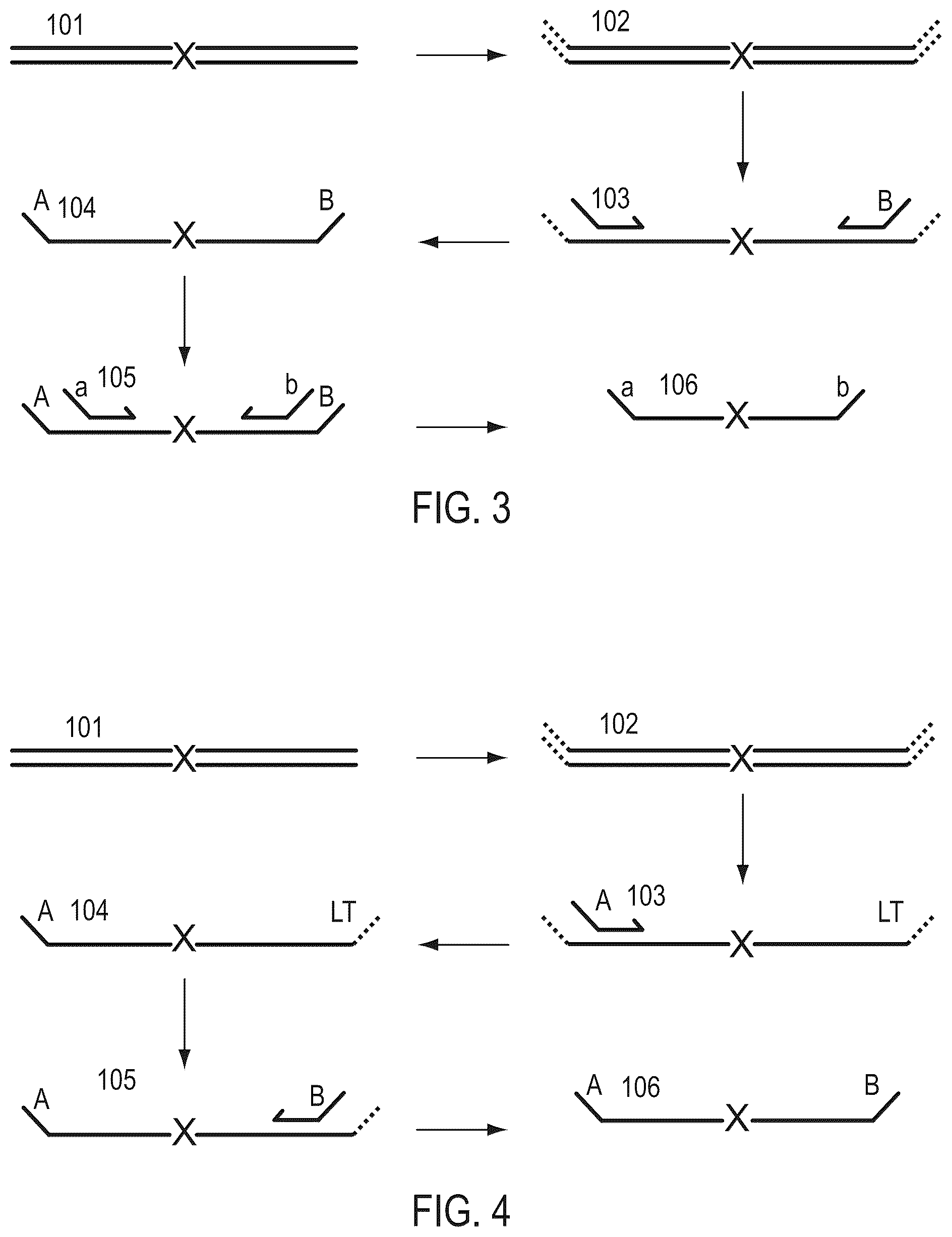 Patent US12410476 Figure 2 – Methods for simultaneous amplification of target loci