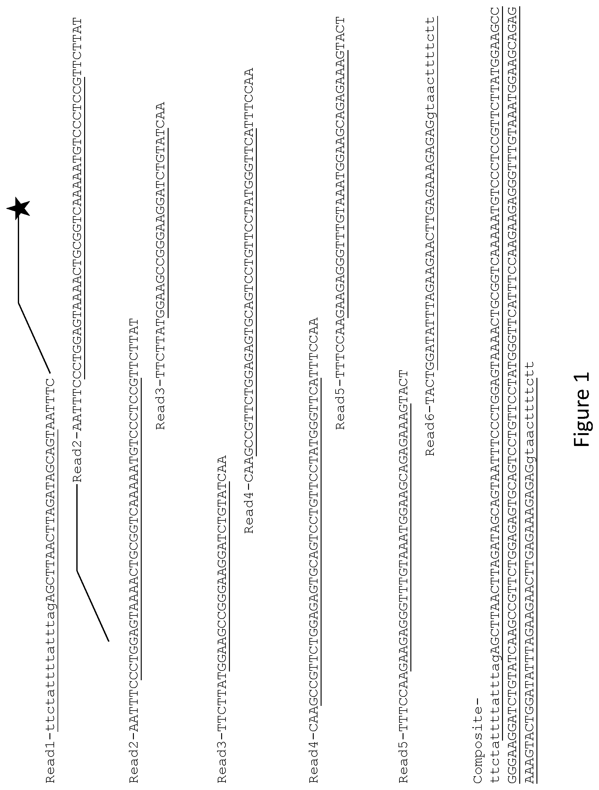 Patent US12410478 Figure 1 – Hereditary cancer genes