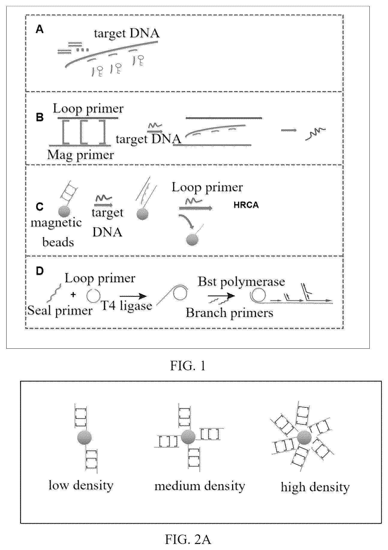 Patent US12410486 — Primer set of mycobacterium tuberculosis based on specific HRCA isothermal amplification and an application thereof — Figure 1
