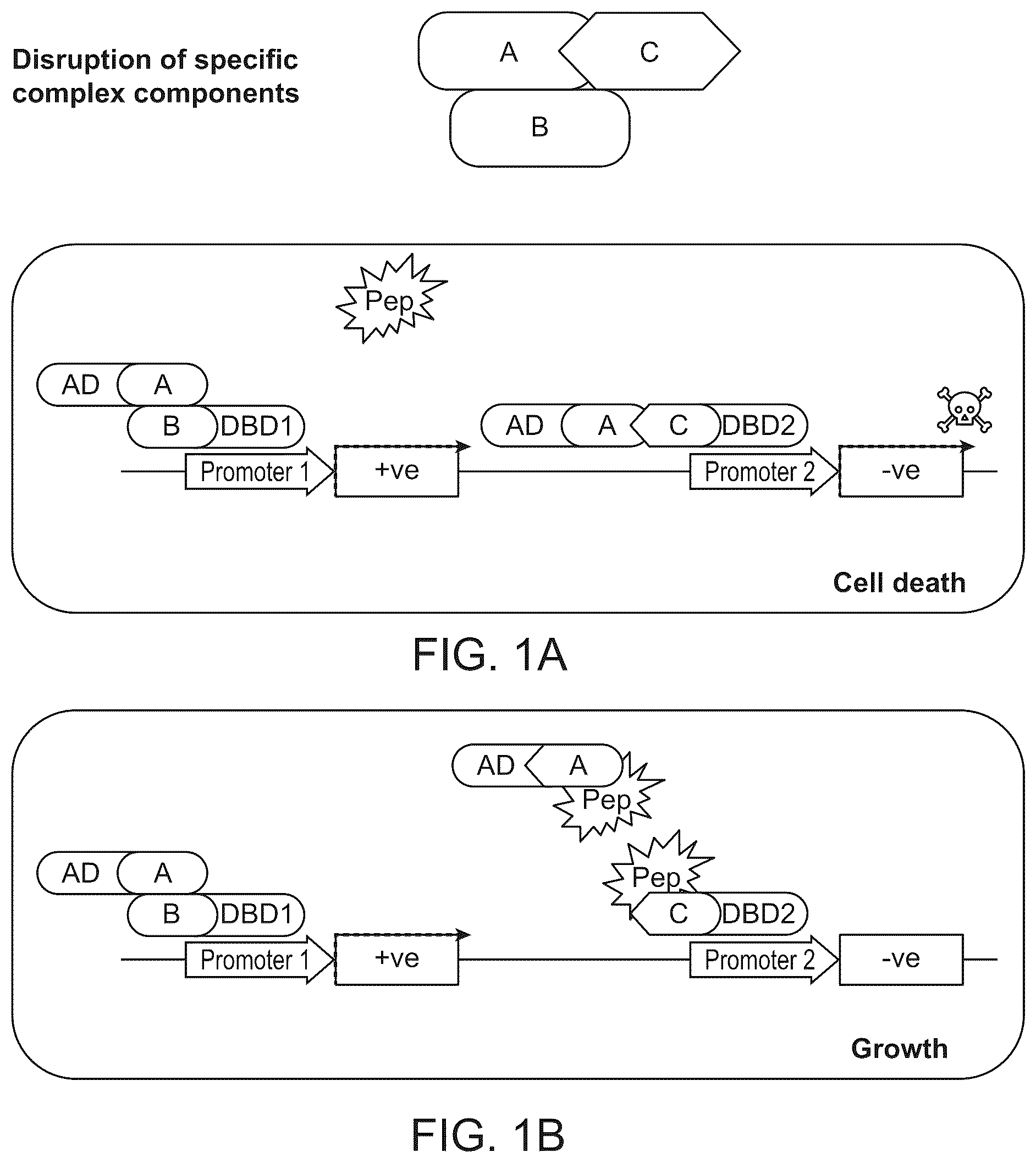 Patent US12410487 — Selective modulation of protein-protein interactions — Figure 1