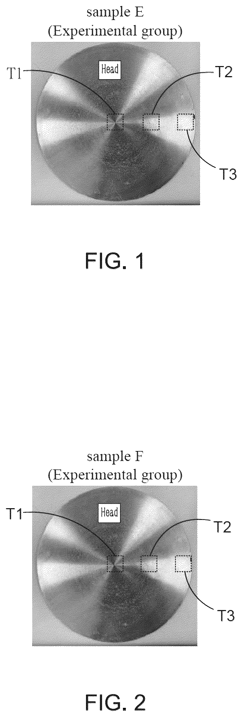 Patent US12410495 — Magnesium-lithium-aluminum-zinc alloy suitable for being processed through air melt and structural article — Figure 1