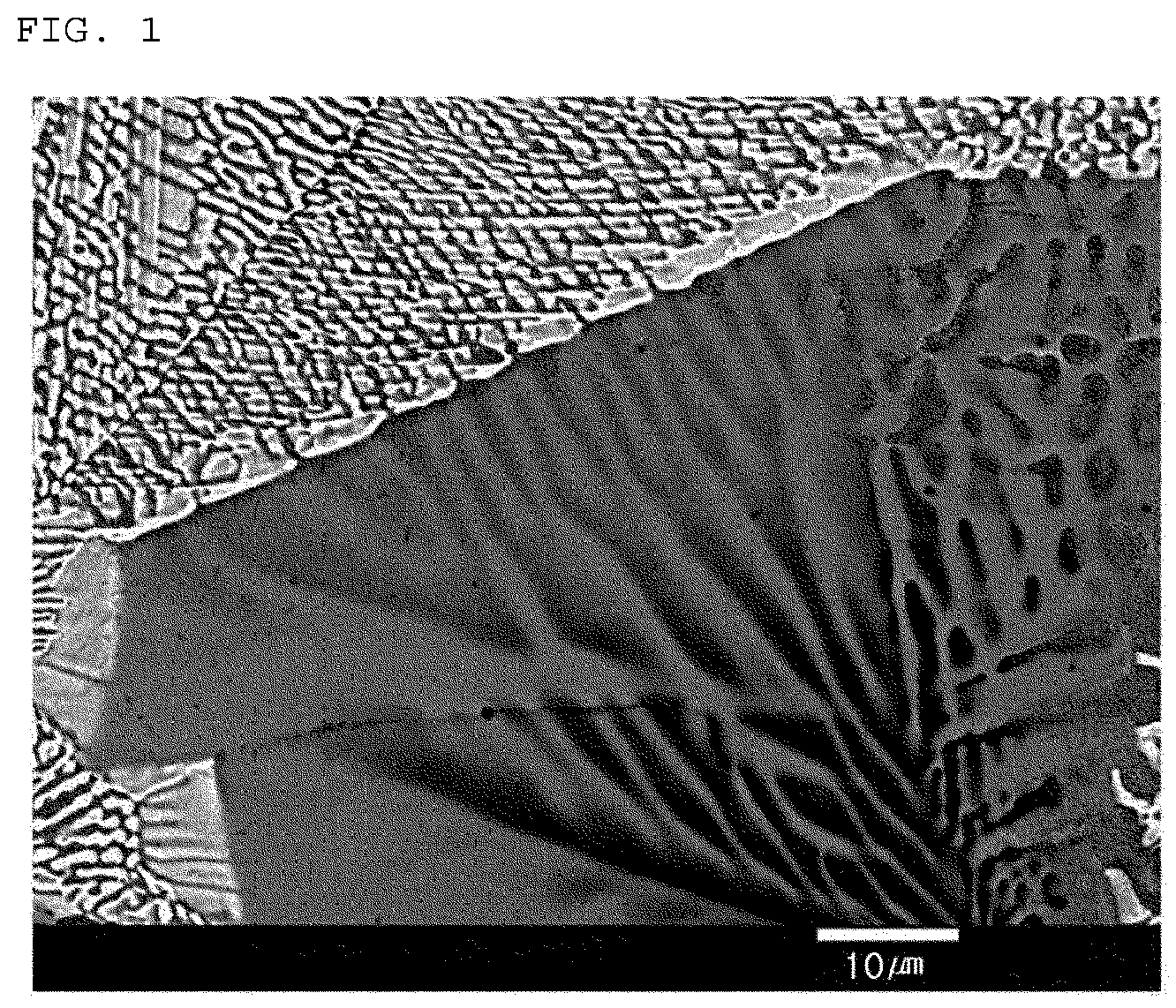 Patent US12410503 — Plated steel sheet having excellent corrosion resistance and bendability and method for manufacturing same — Figure 1