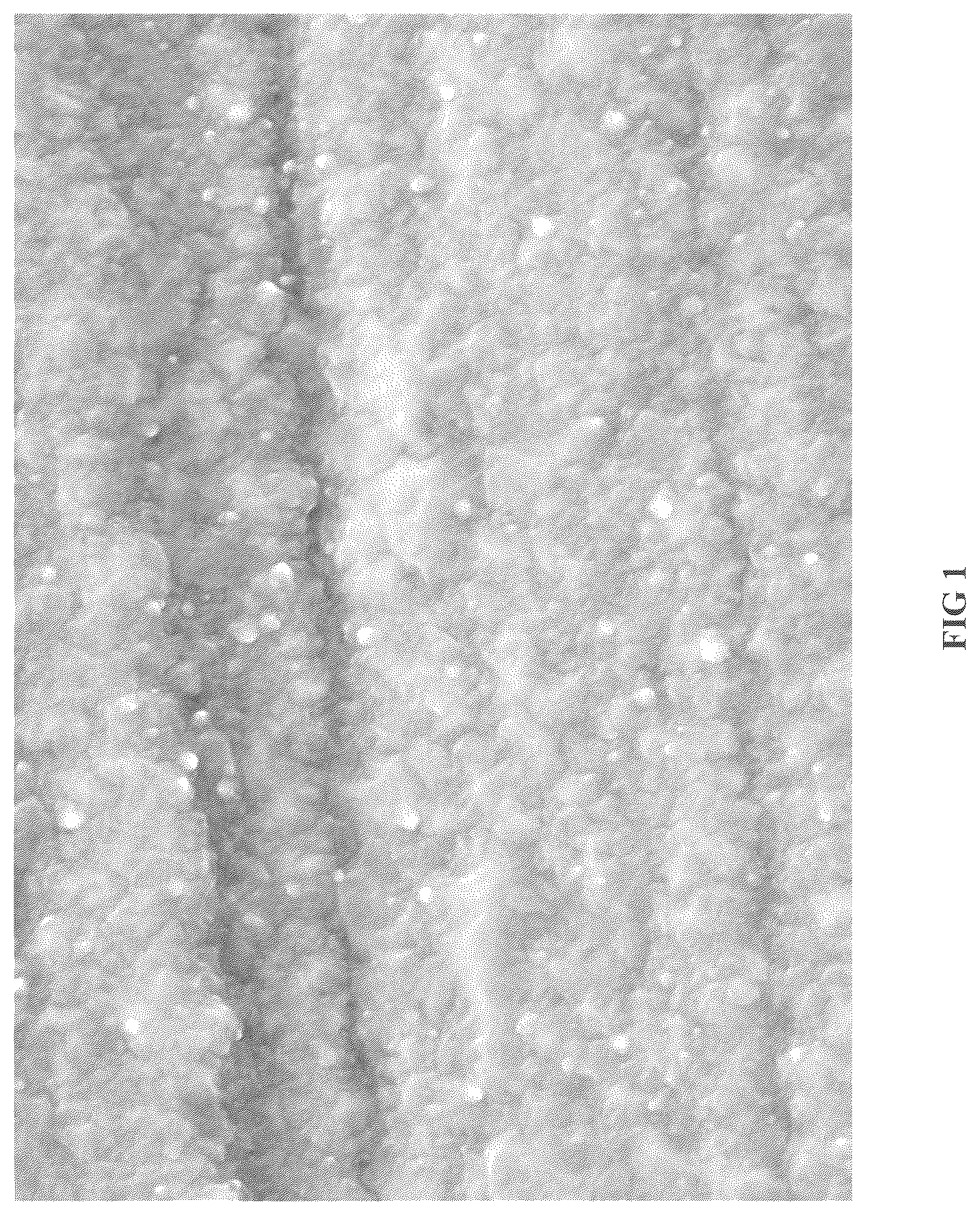 Patent US12410534 Figure 1 – Nickel electroplating compositions for rough nickel
