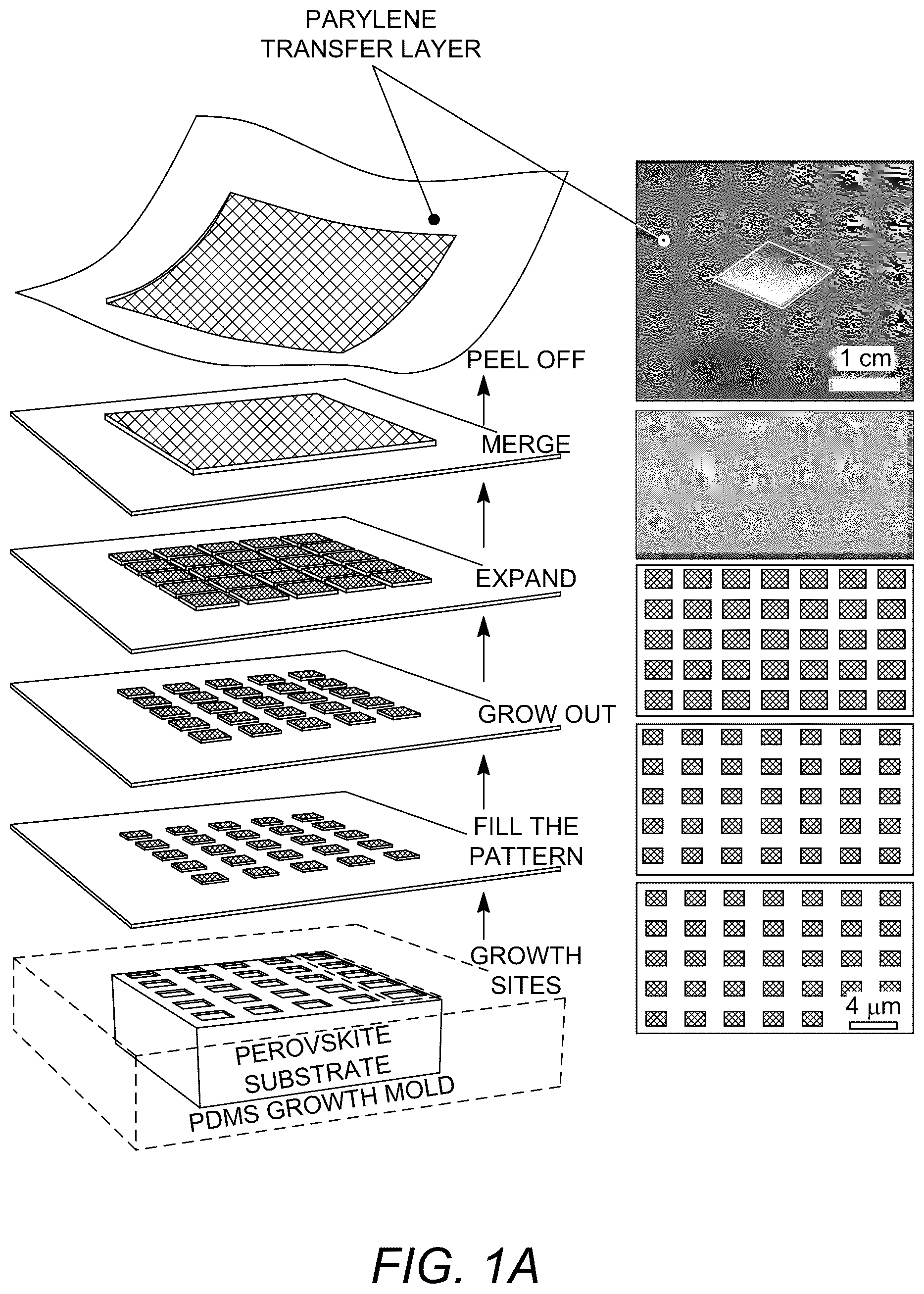 Patent US12410537 — Fabrication process for flexible single-crystal perovskite devices — Figure 1