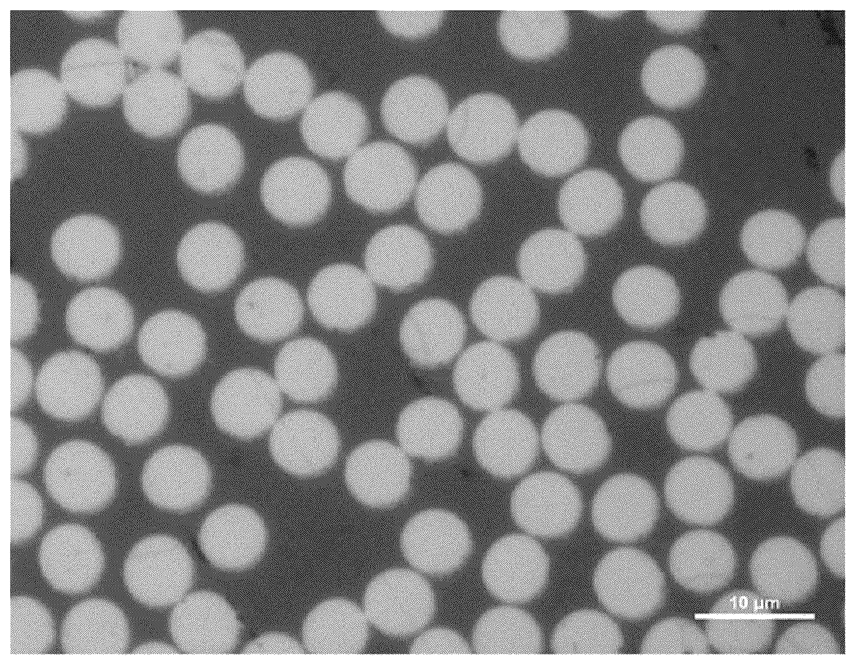 Patent US12410542 — Polyacrylonitrile-based stabilized fiber, carbon fiber, and manufacturing method therefor — Figure 1