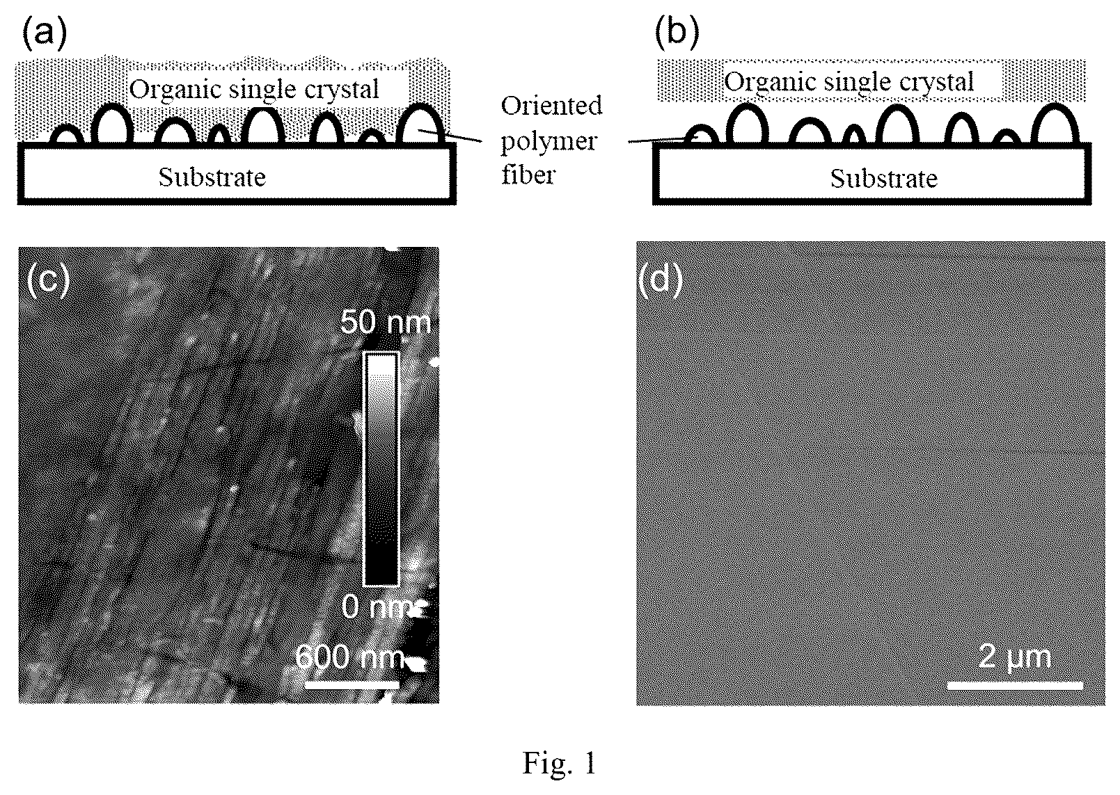 Patent US12414462 Figure 1 – Organic single crystal composite oriented polymer membrane, preparation method therefor, optoelectronic device and application thereof