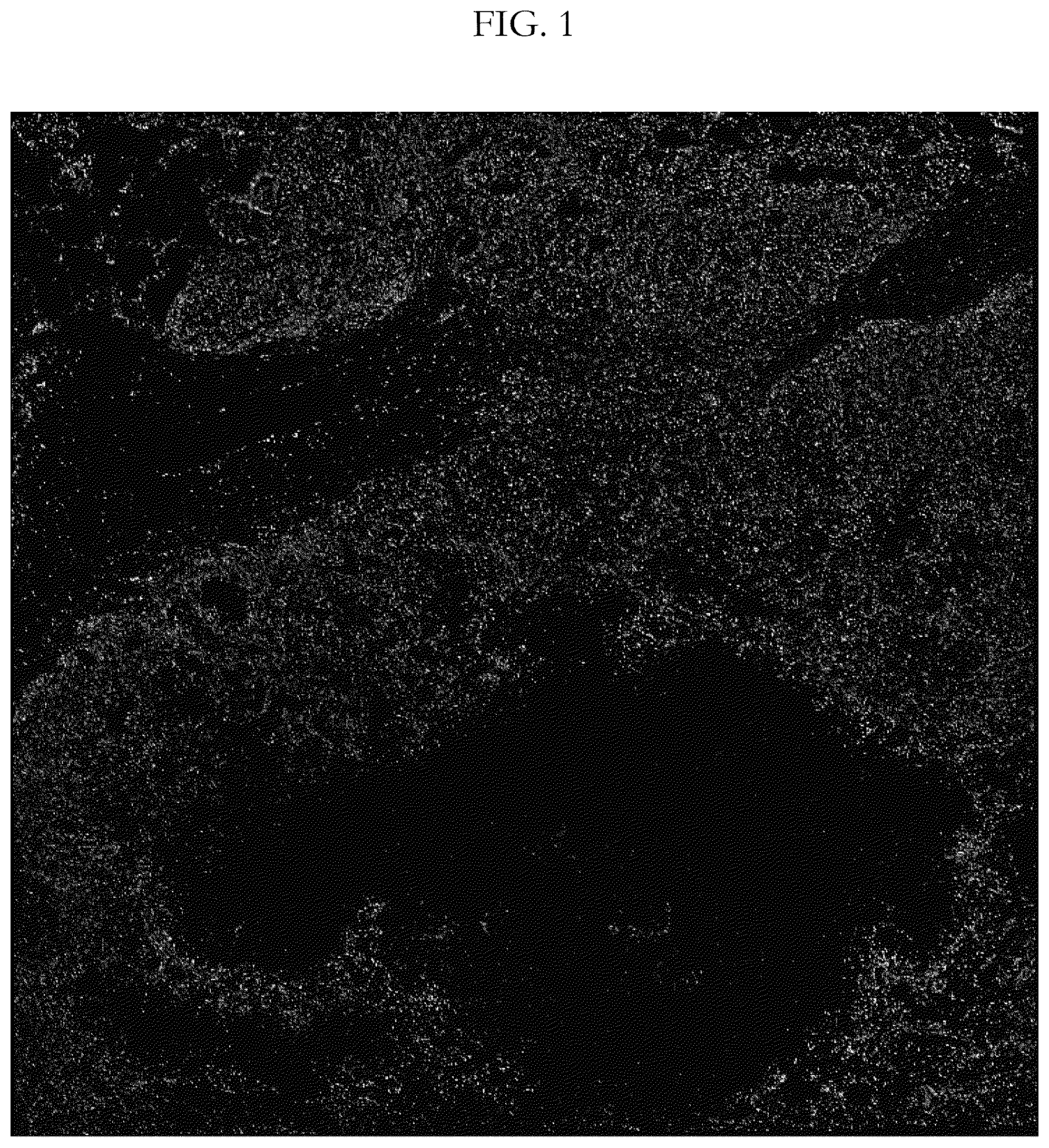 Patent US12417538 — Validation methods for multiplexed imaging method — Figure 1
