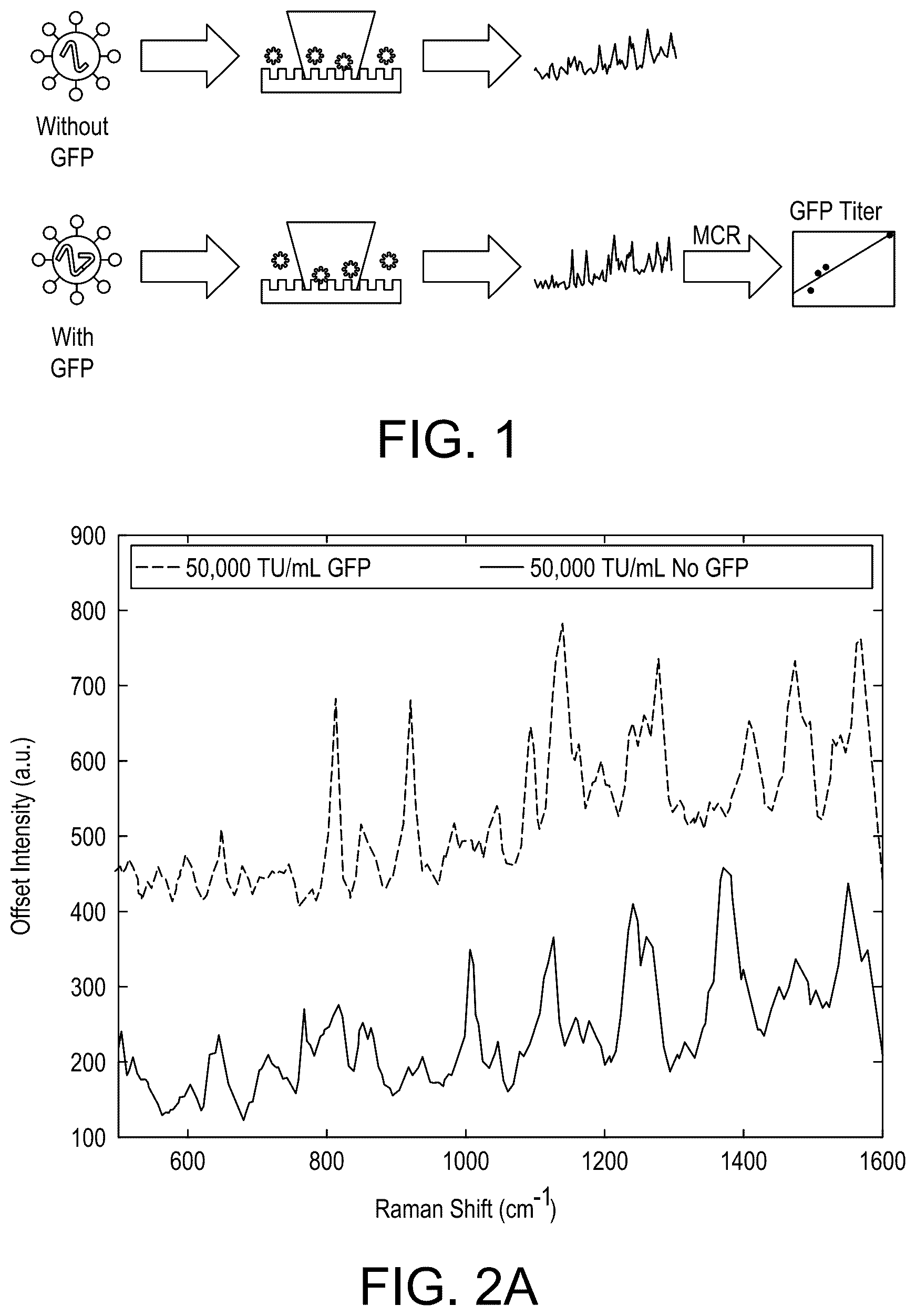 Patent US12422367 Figure 1 – Methods for determination of virus titer in a sample using Raman spectroscopy